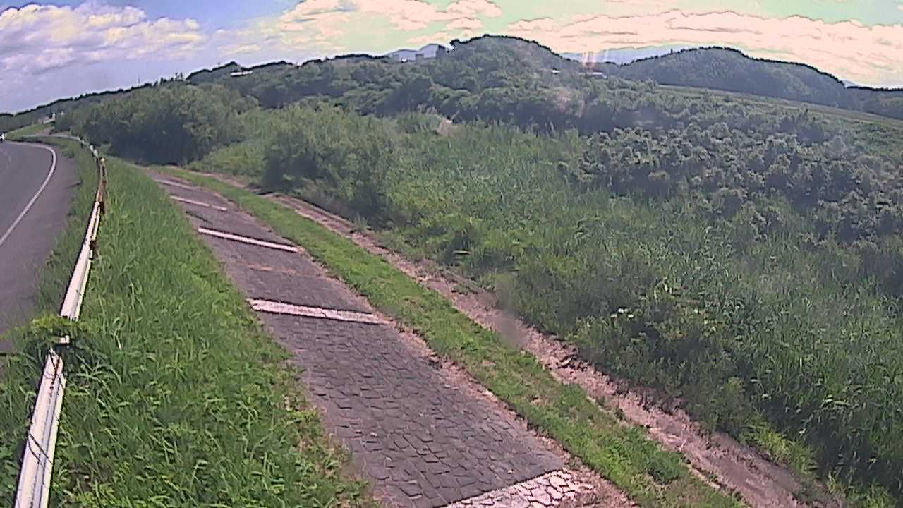 榎原　法勝寺川 3k000 左岸