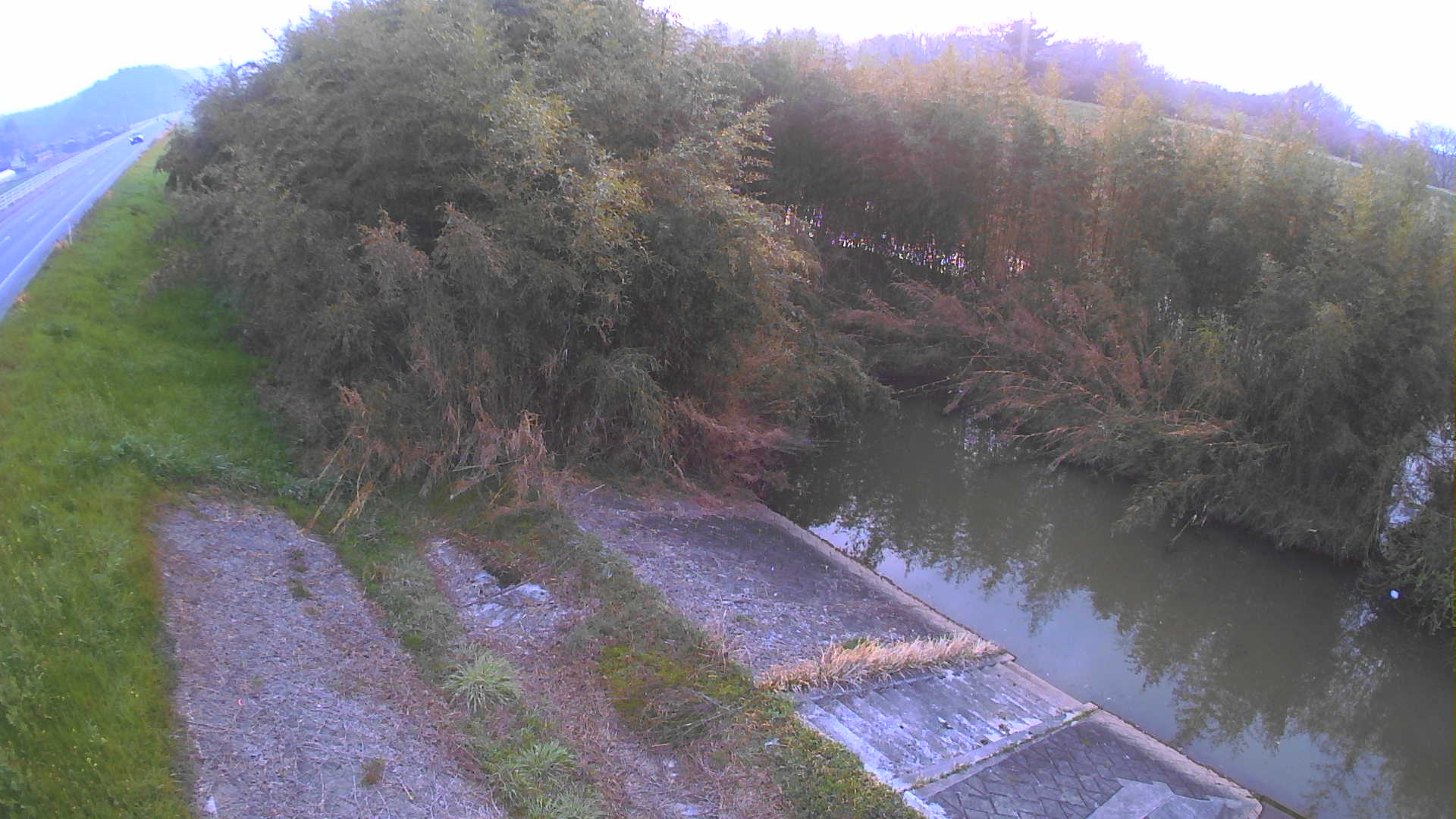 境　法勝寺川 4k800 左岸