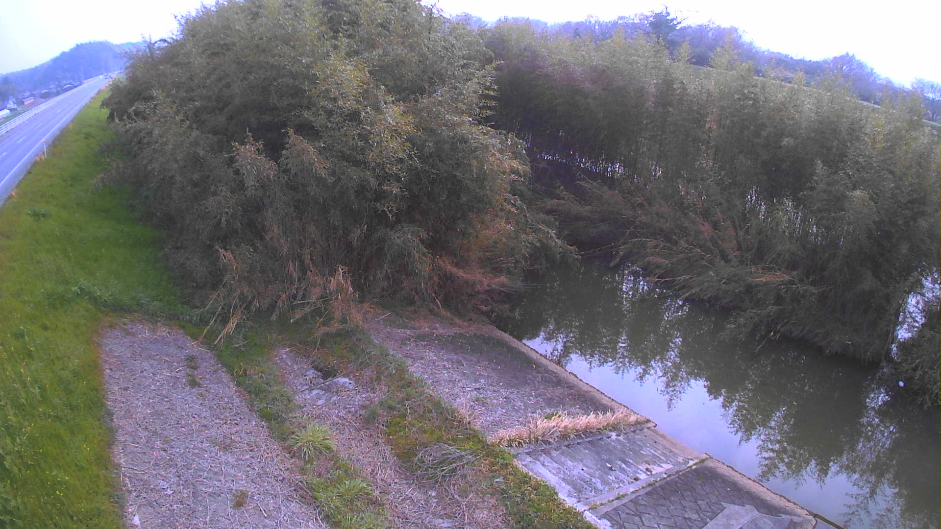 境　法勝寺川 4k800 左岸