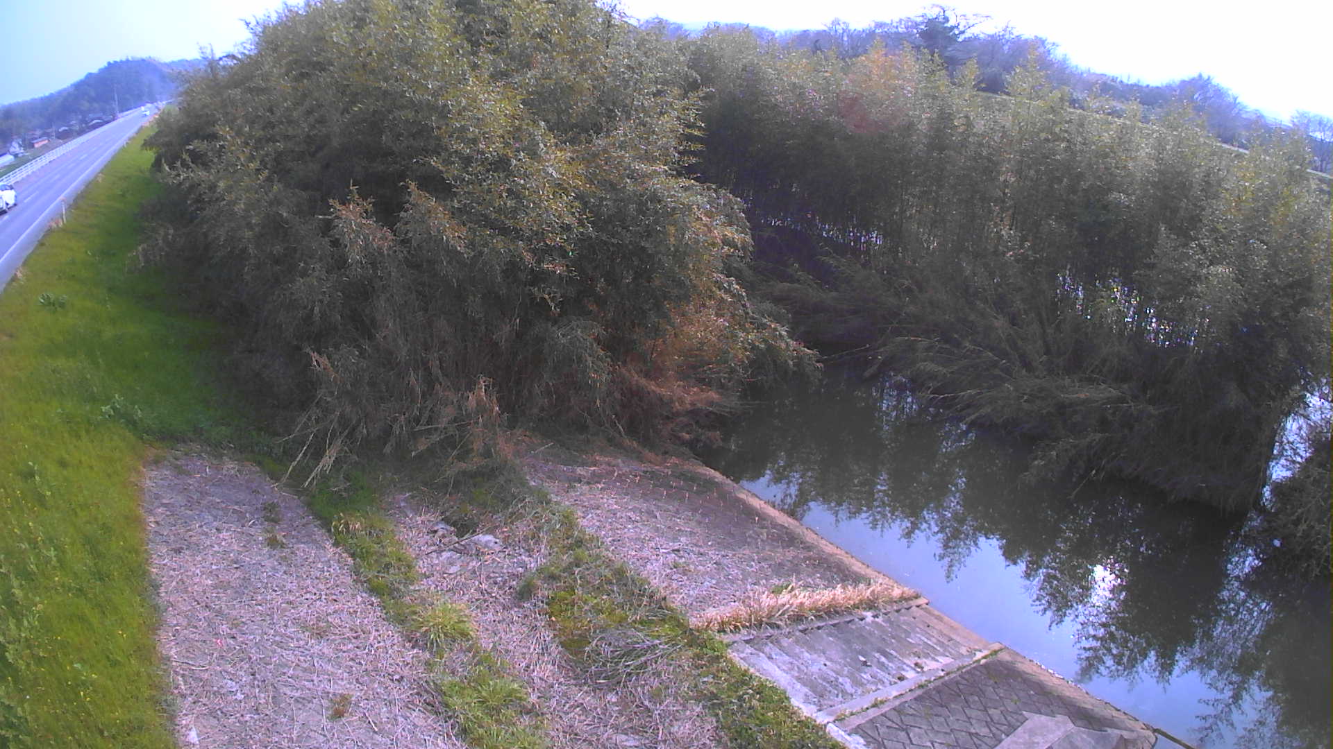 境　法勝寺川 4k800 左岸