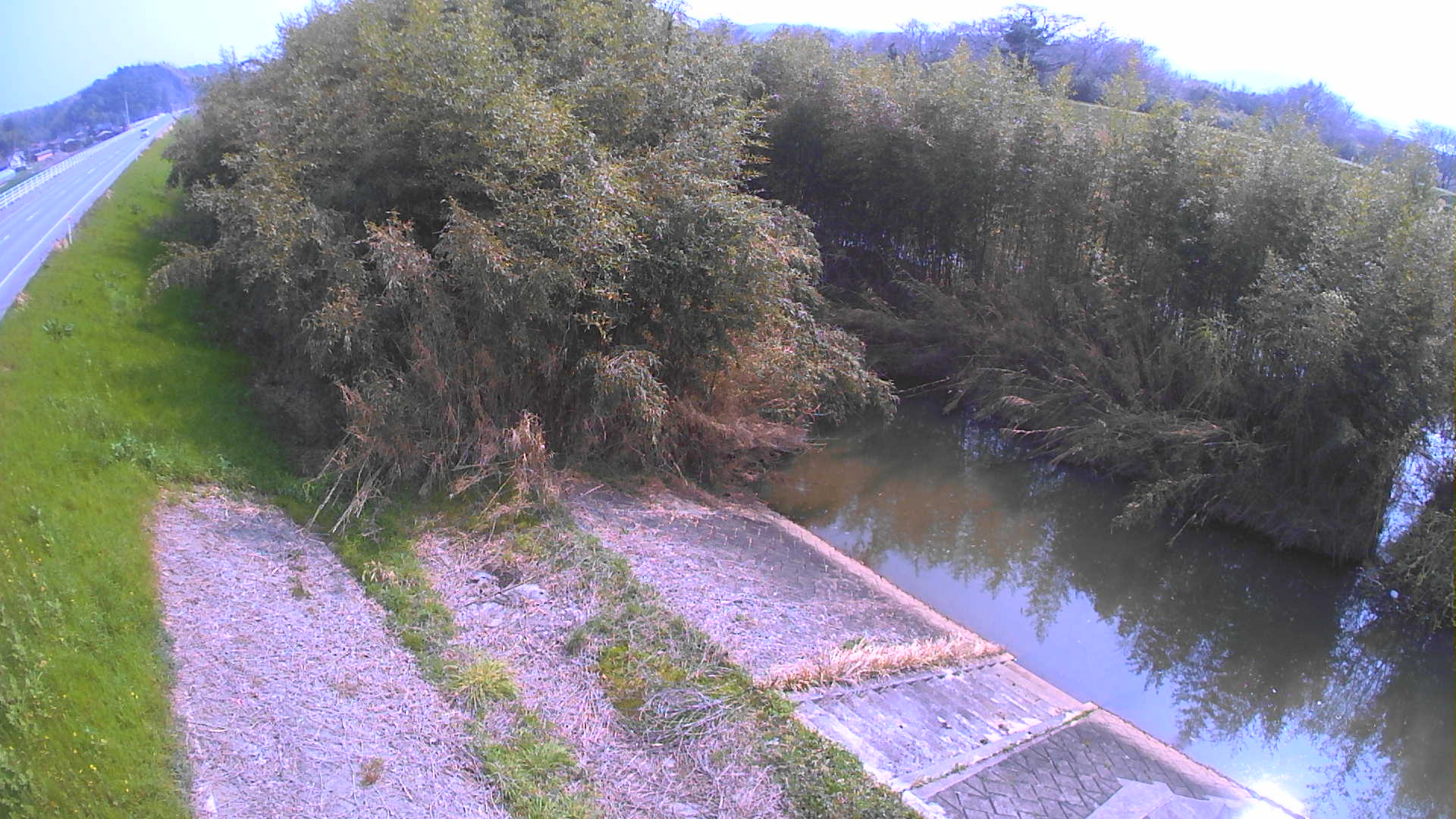 境　法勝寺川 4k800 左岸