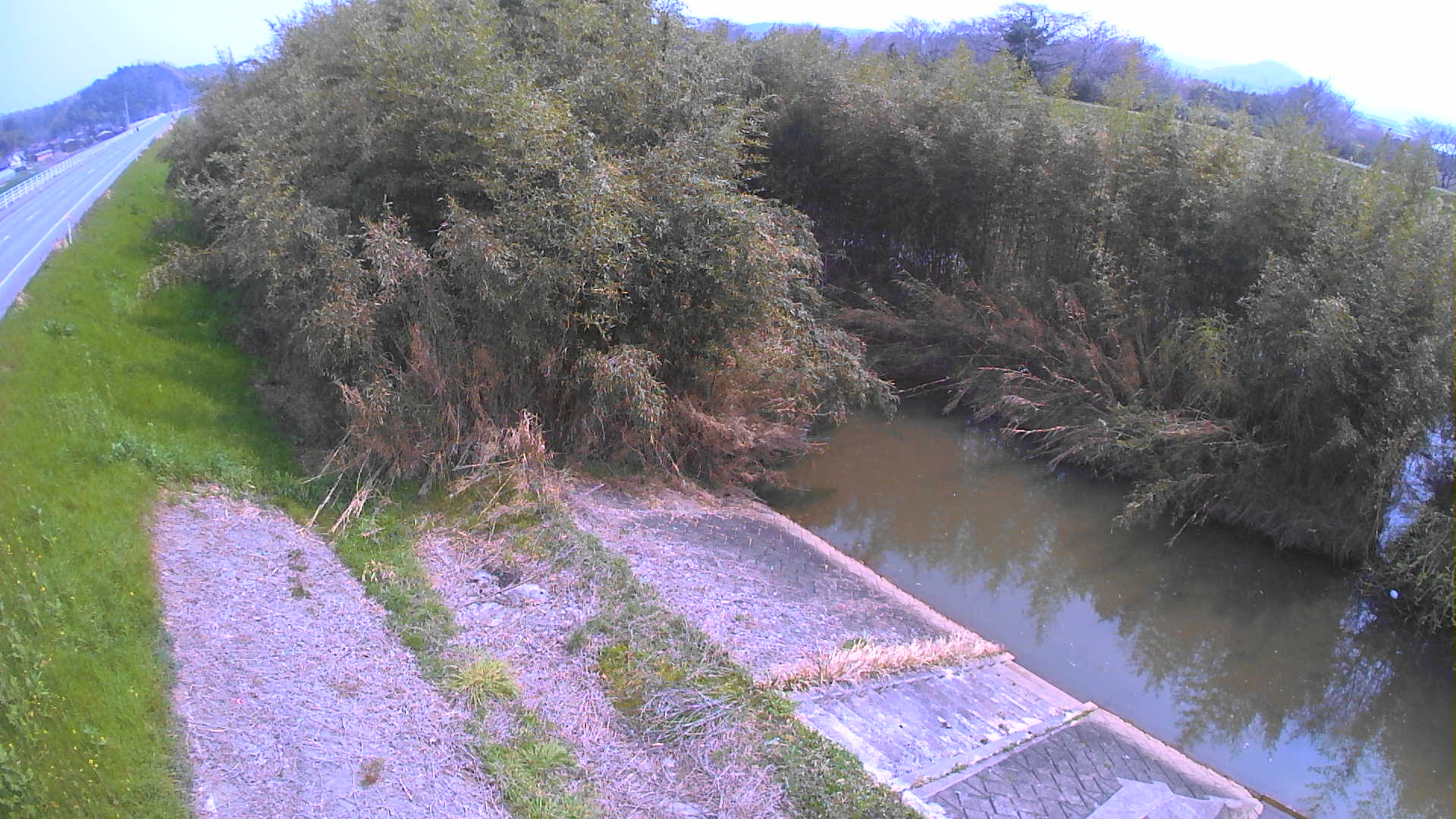 境　法勝寺川 4k800 左岸