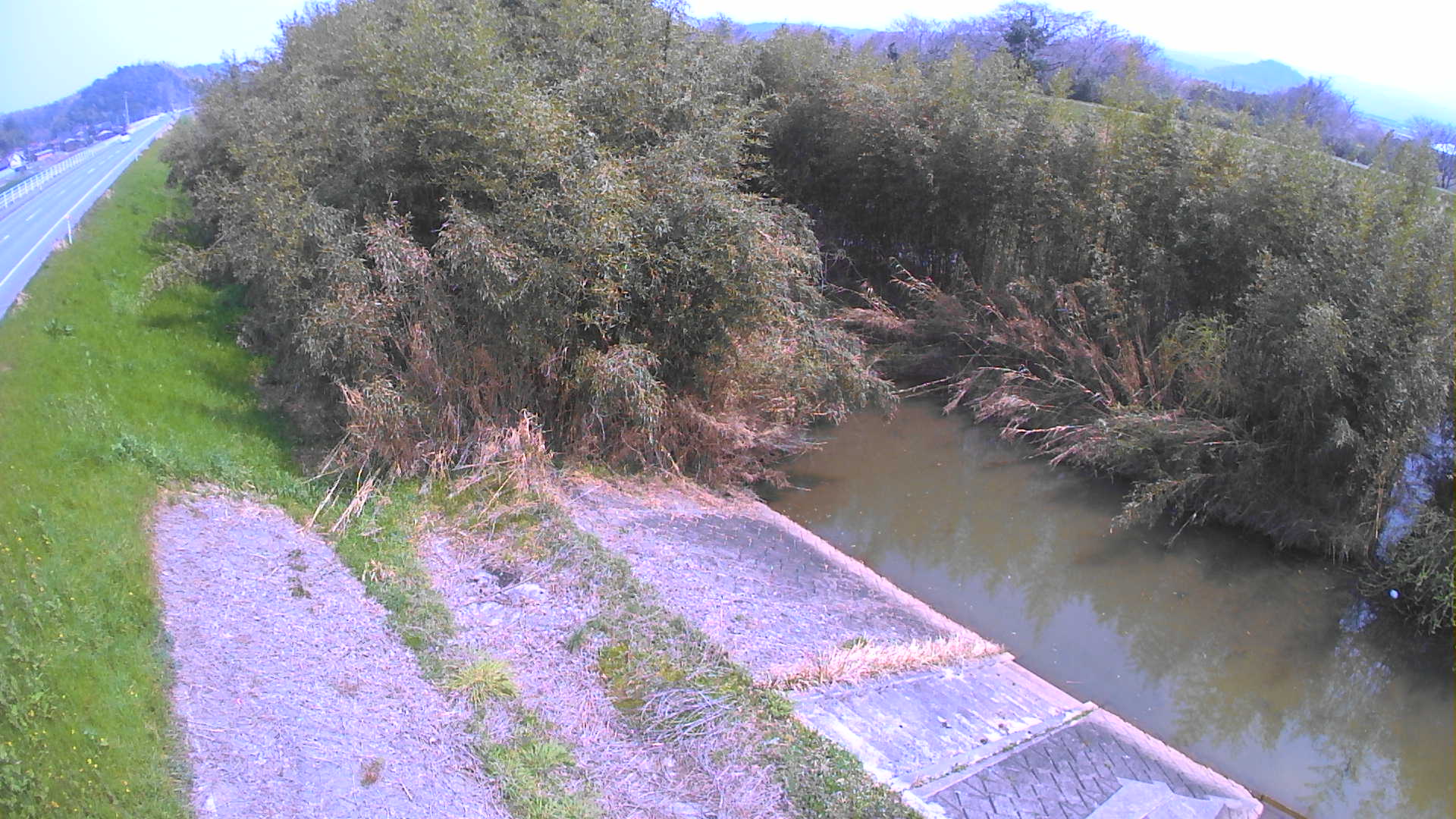 境　法勝寺川 4k800 左岸