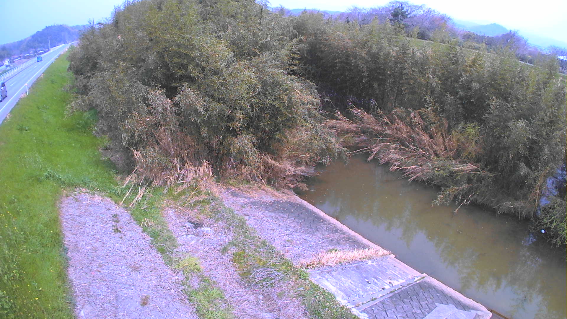 境　法勝寺川 4k800 左岸