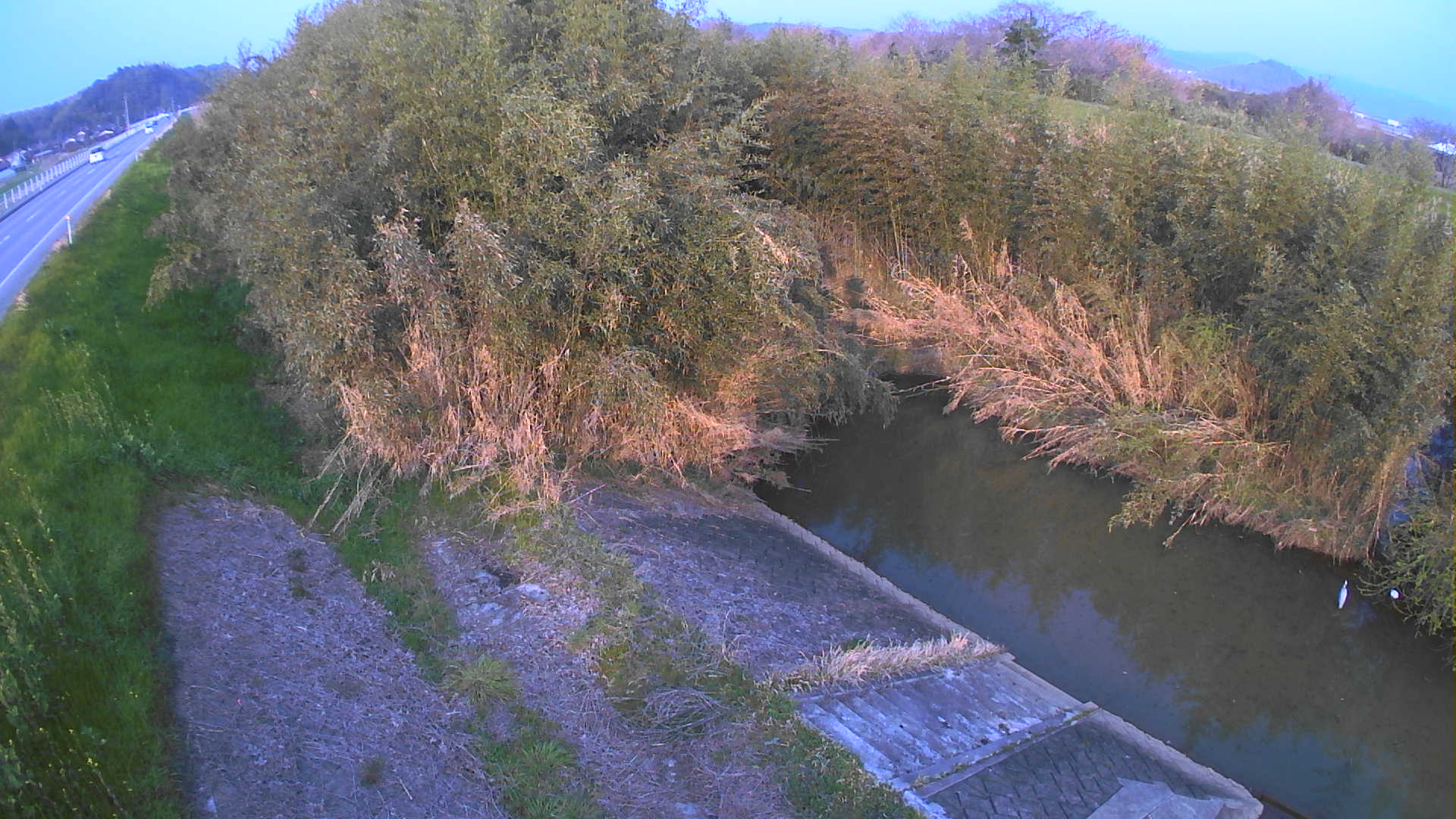境　法勝寺川 4k800 左岸