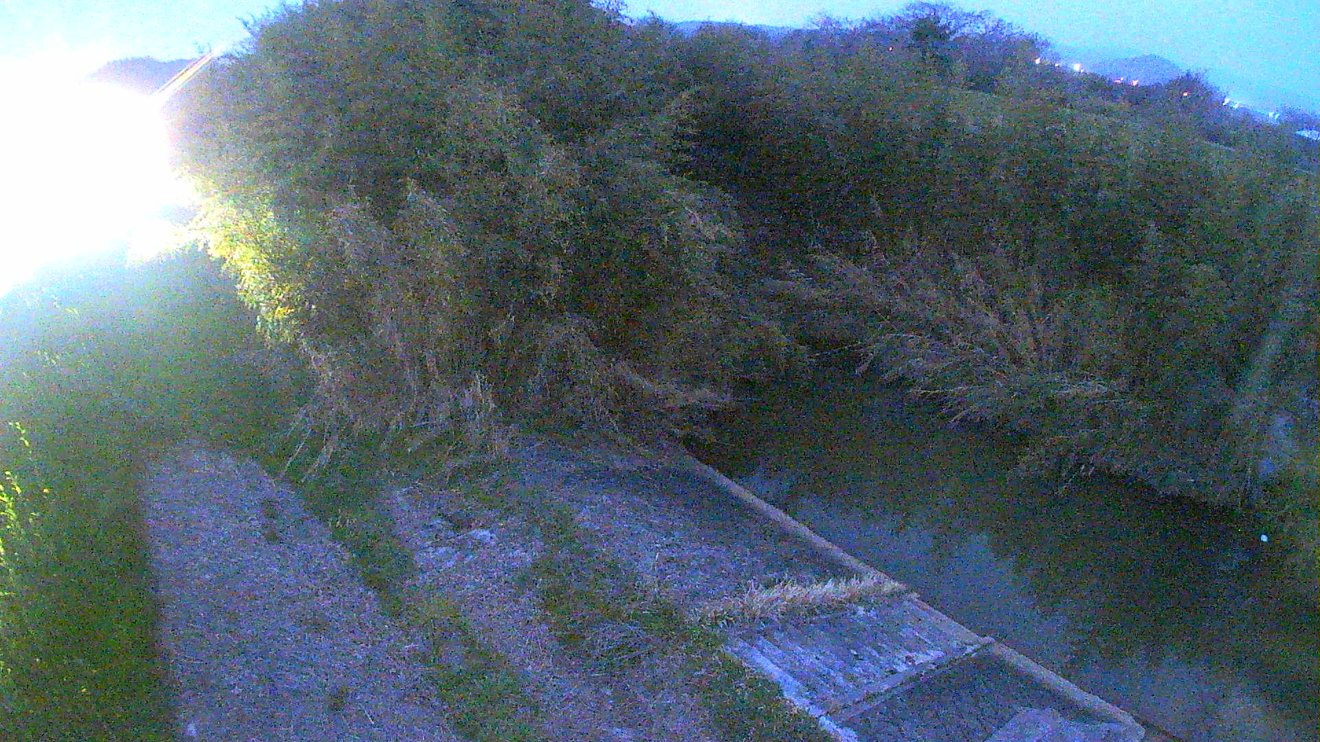 境　法勝寺川 4k800 左岸