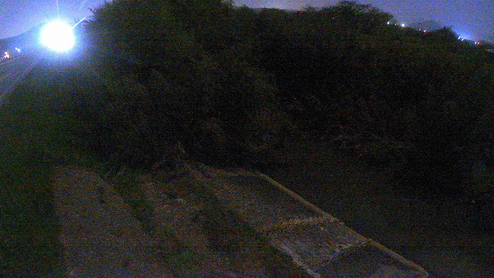 境　法勝寺川 4k800 左岸