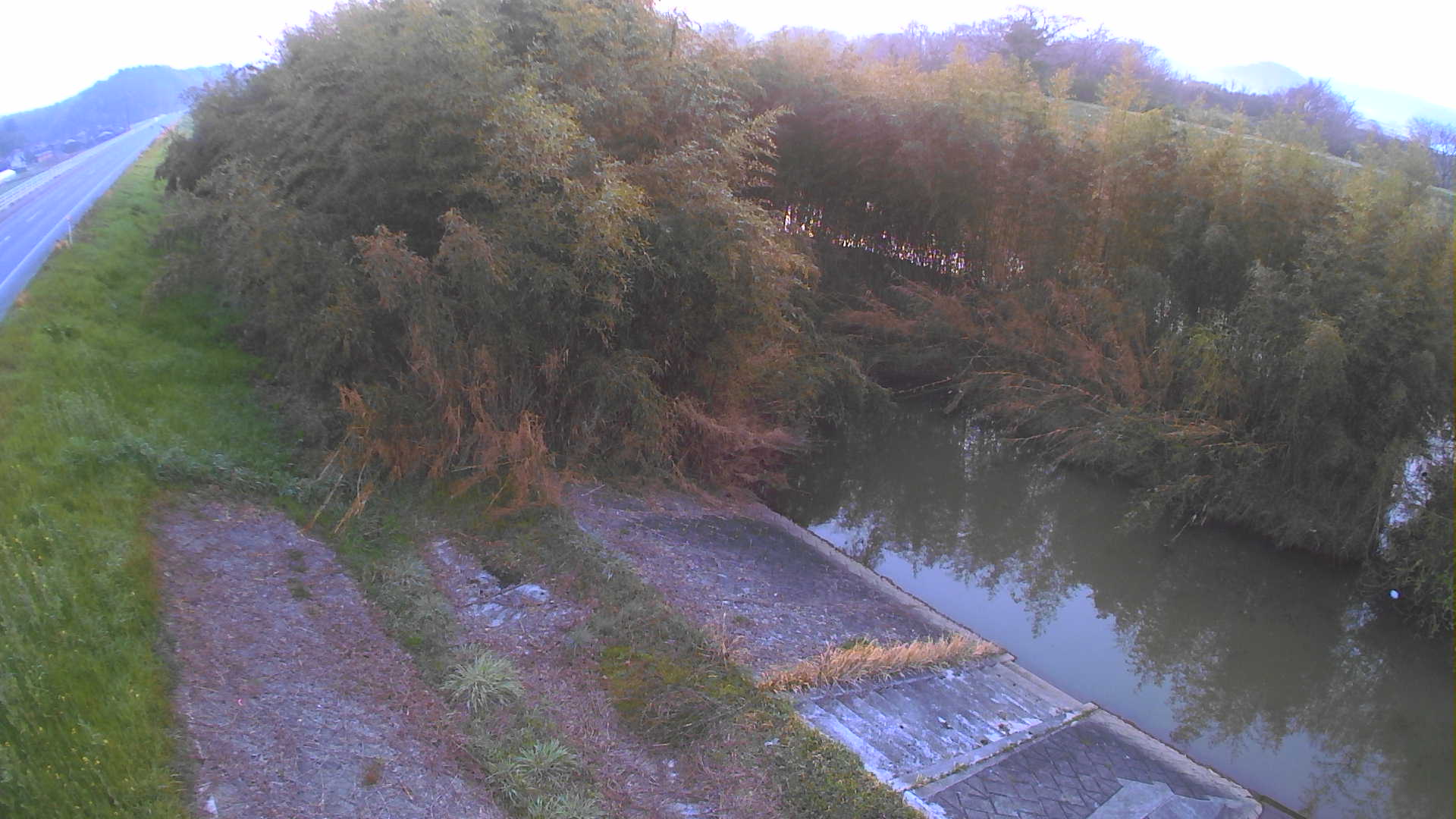 境　法勝寺川 4k800 左岸