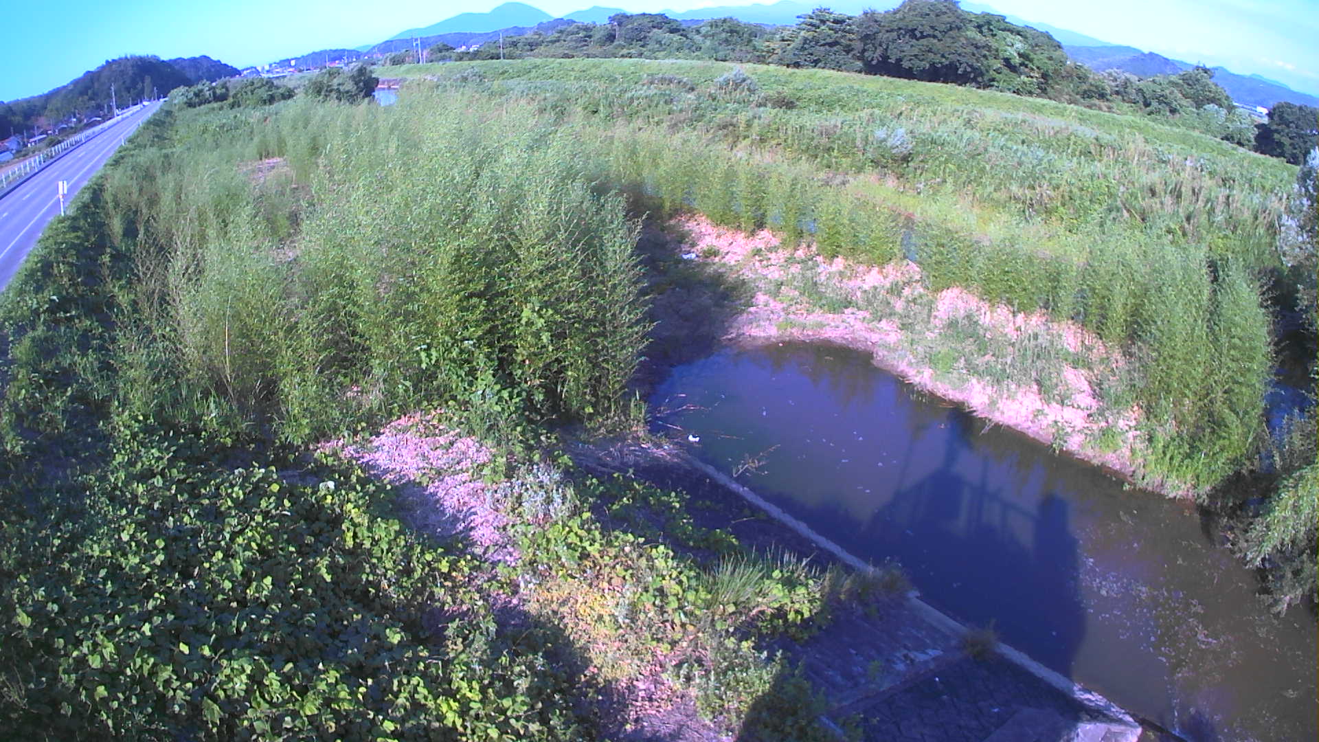境　法勝寺川 4k800 左岸