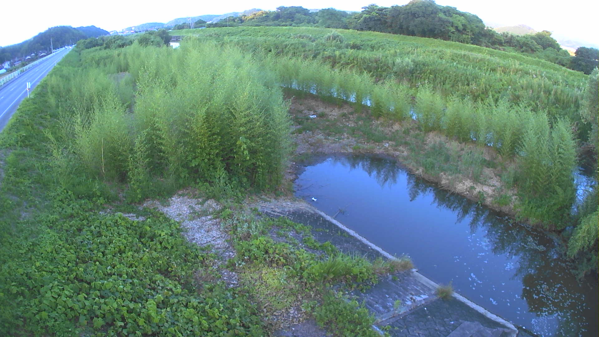 境　法勝寺川 4k800 左岸