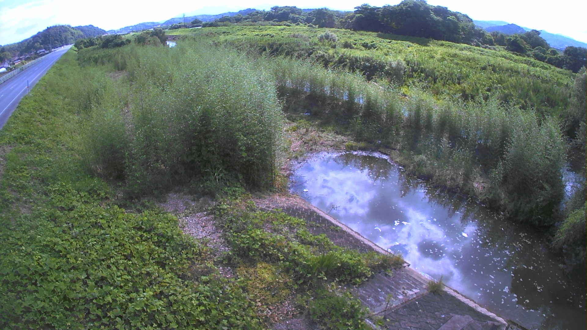 境　法勝寺川 4k800 左岸