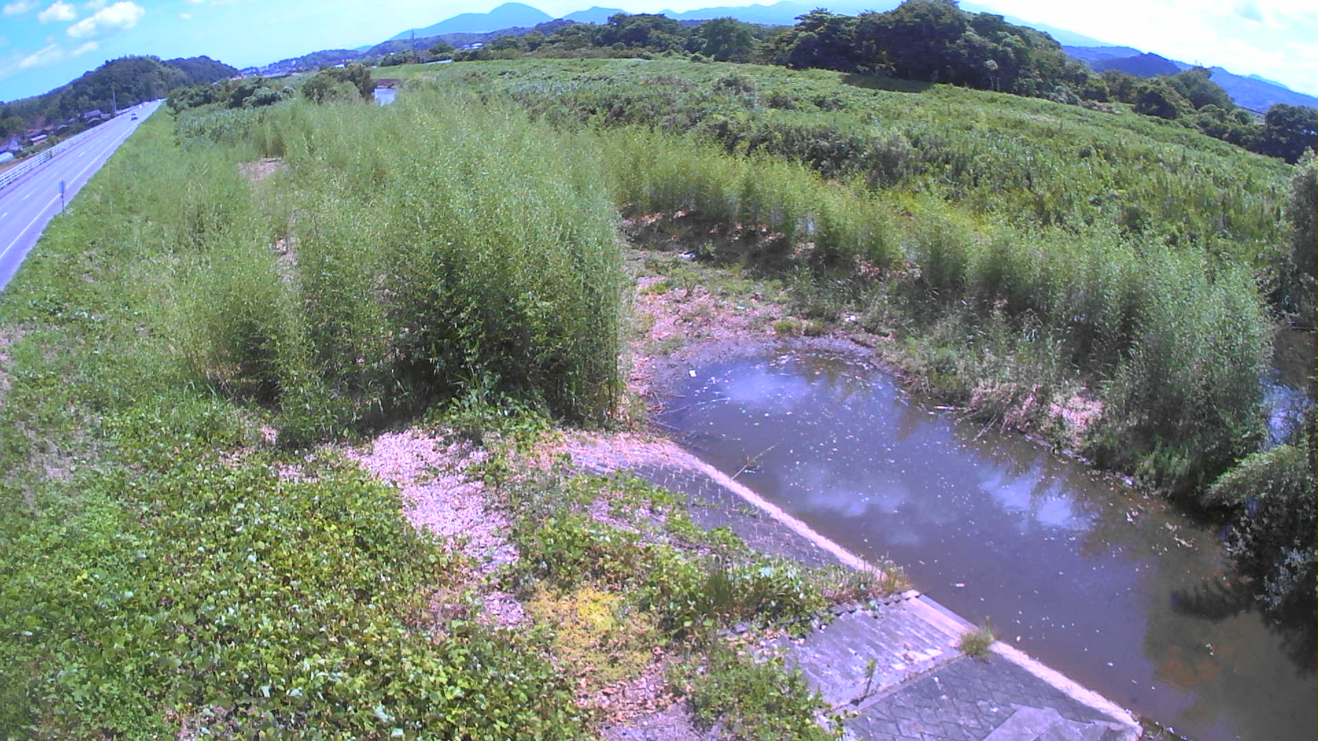 境　法勝寺川 4k800 左岸