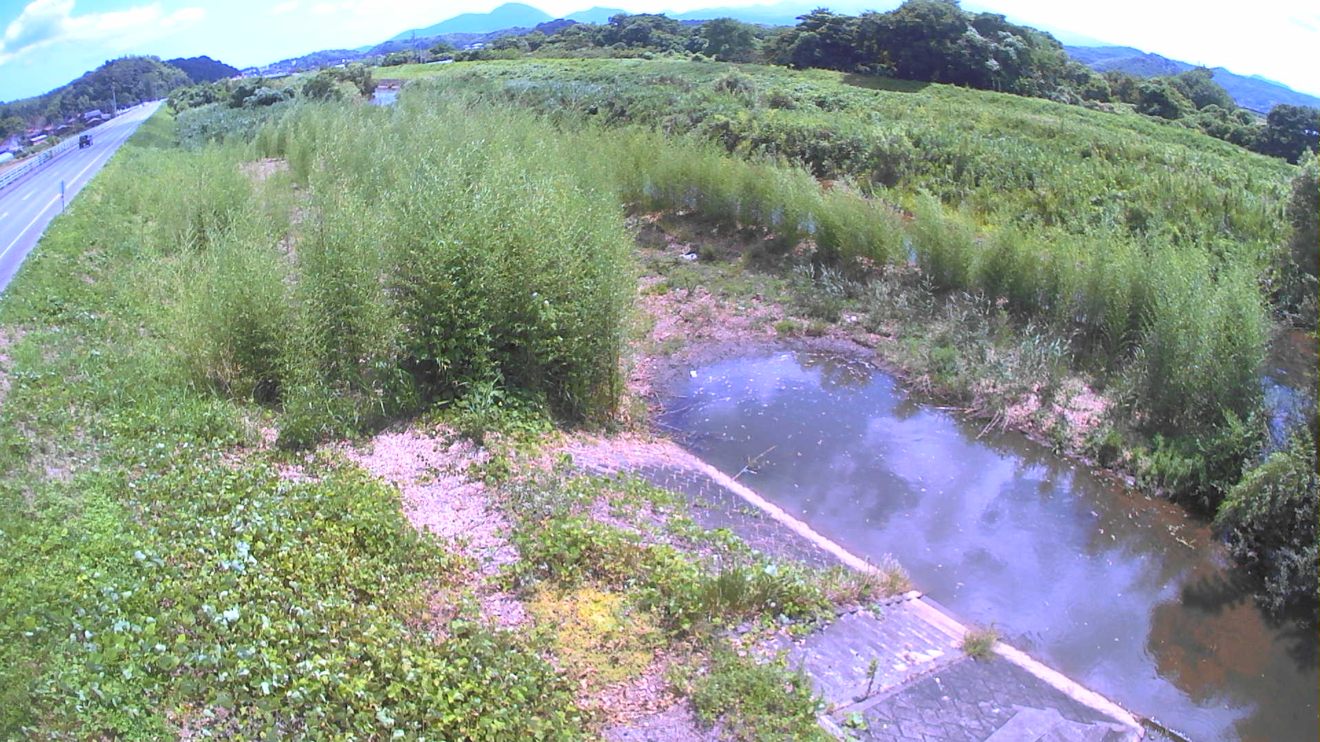 境　法勝寺川 4k800 左岸