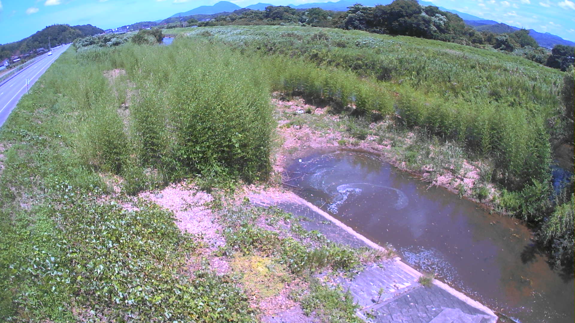 境　法勝寺川 4k800 左岸