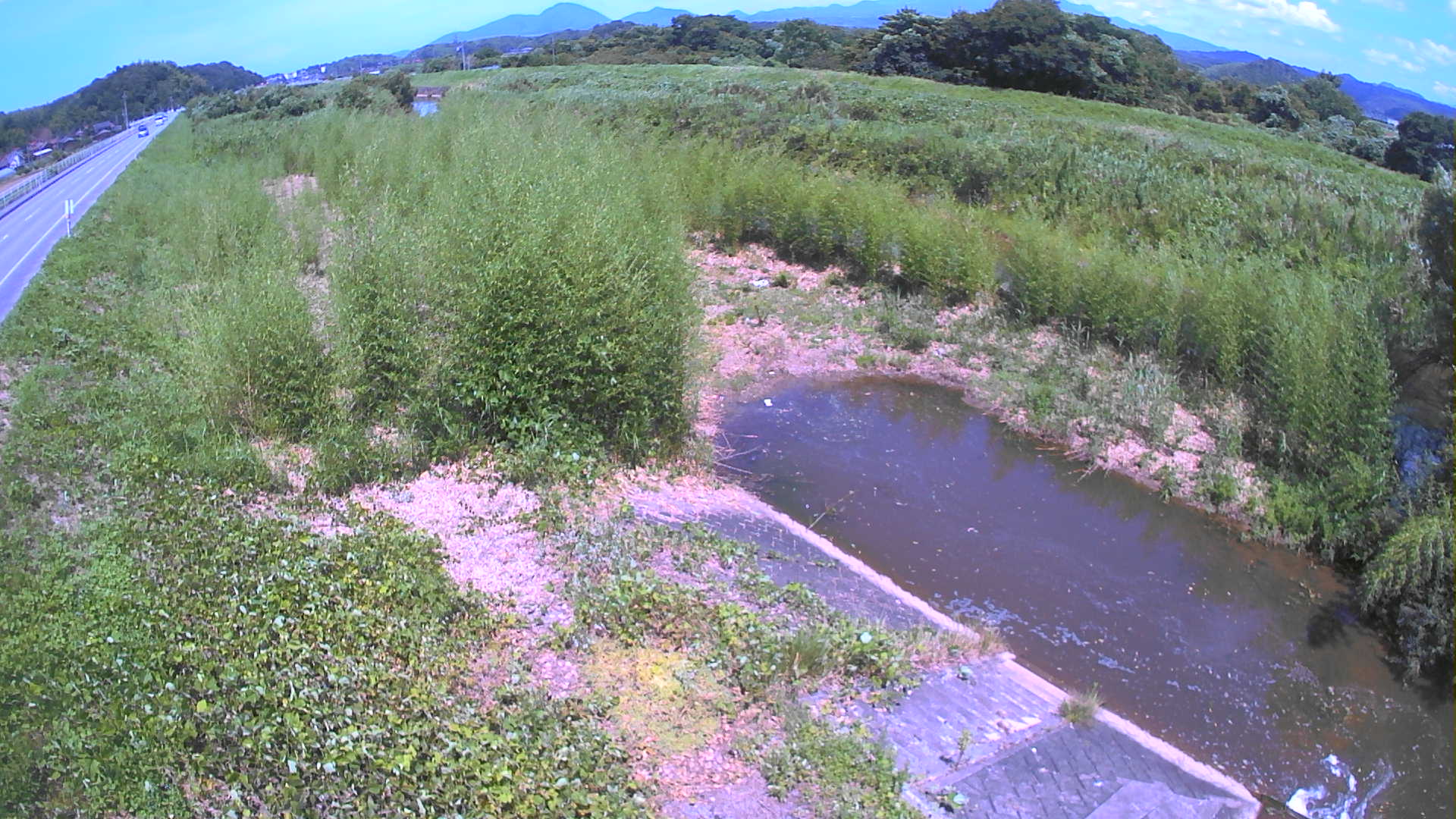 境　法勝寺川 4k800 左岸