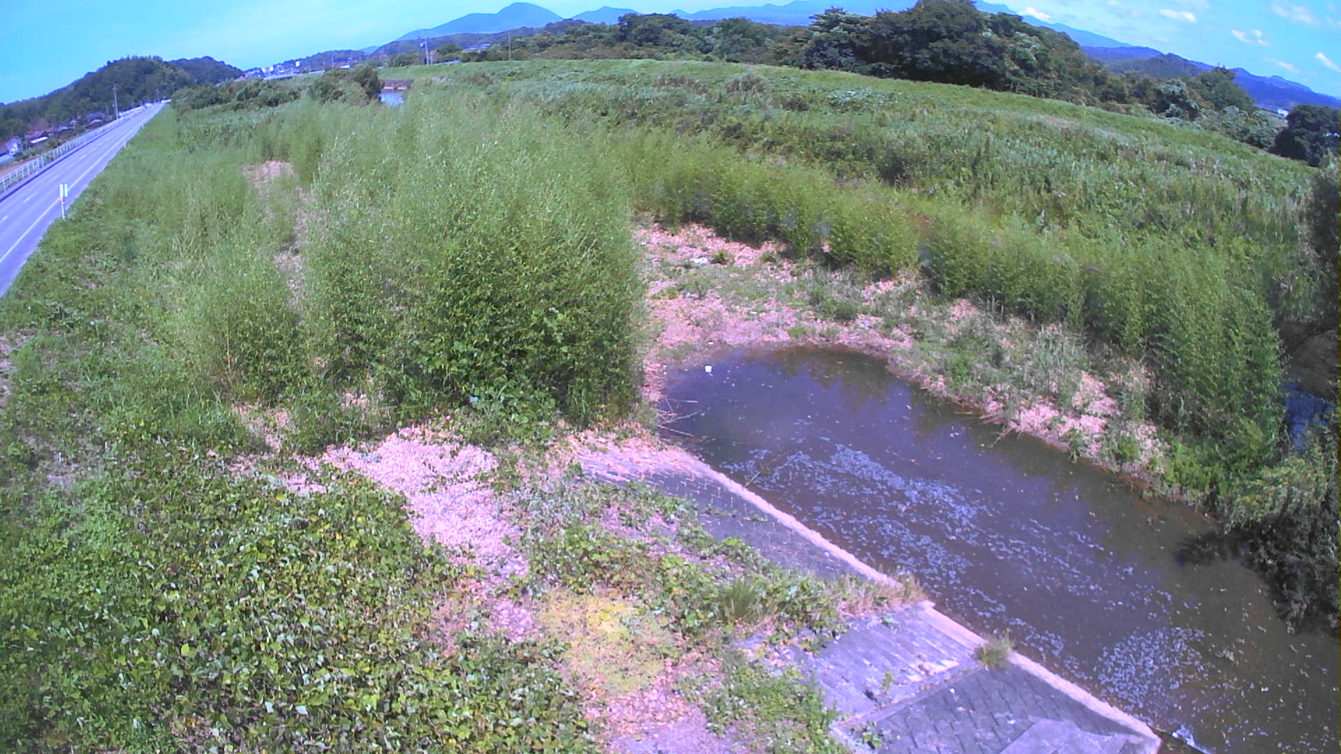 境　法勝寺川 4k800 左岸