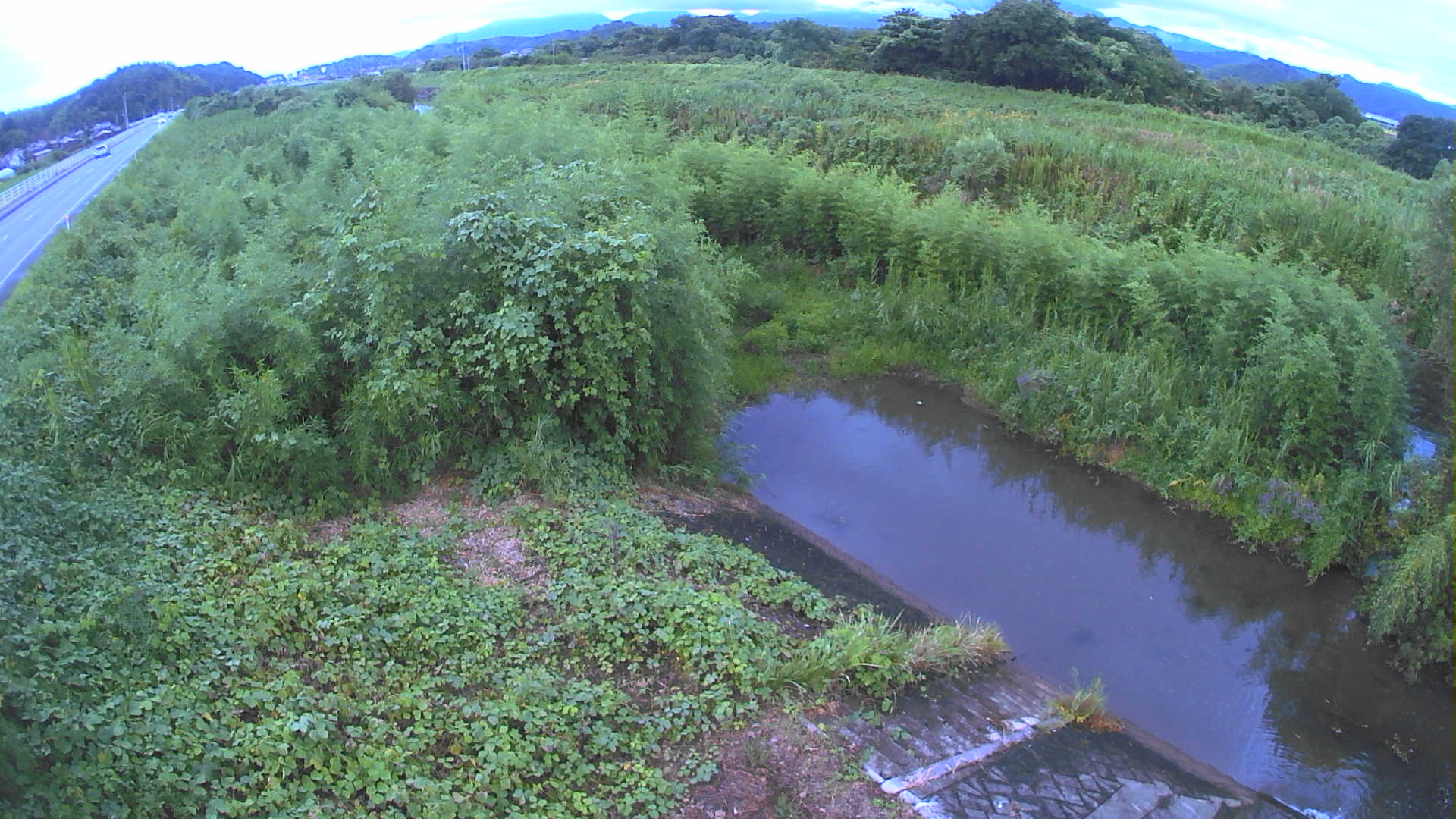 境　法勝寺川 4k800 左岸