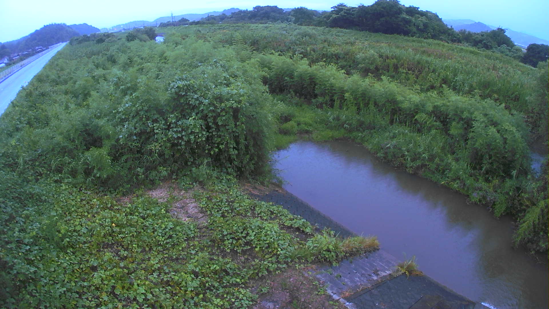 境　法勝寺川 4k800 左岸
