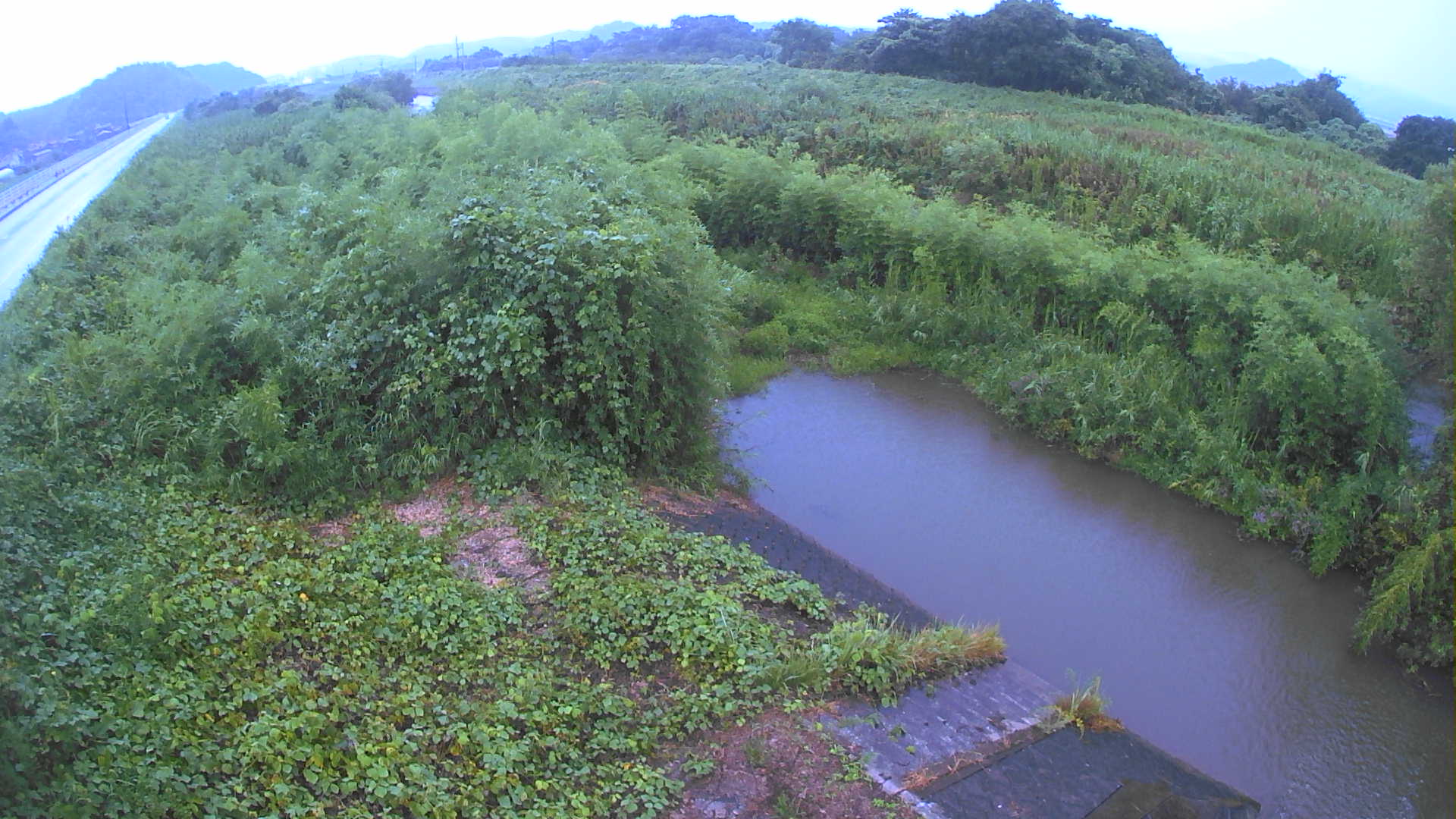 境　法勝寺川 4k800 左岸