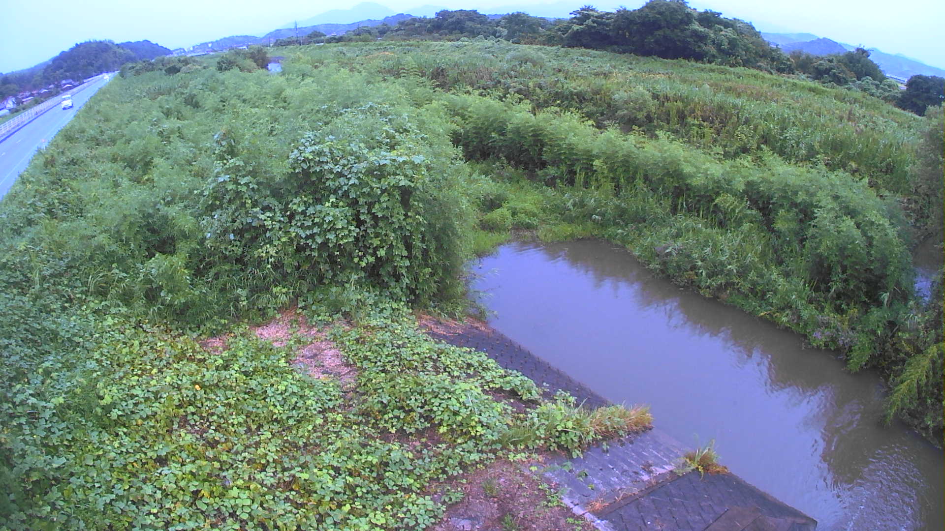 境　法勝寺川 4k800 左岸