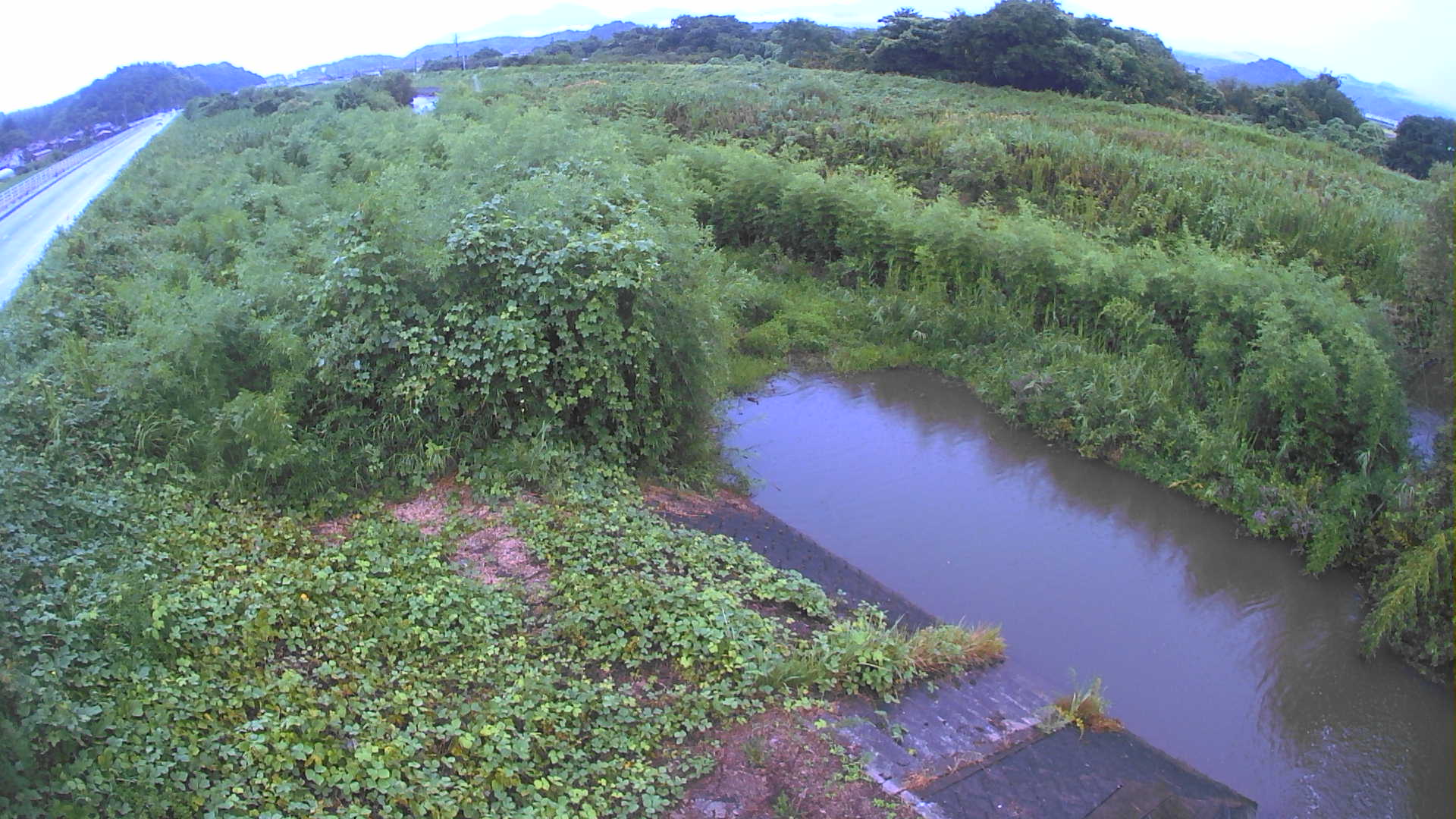 境　法勝寺川 4k800 左岸