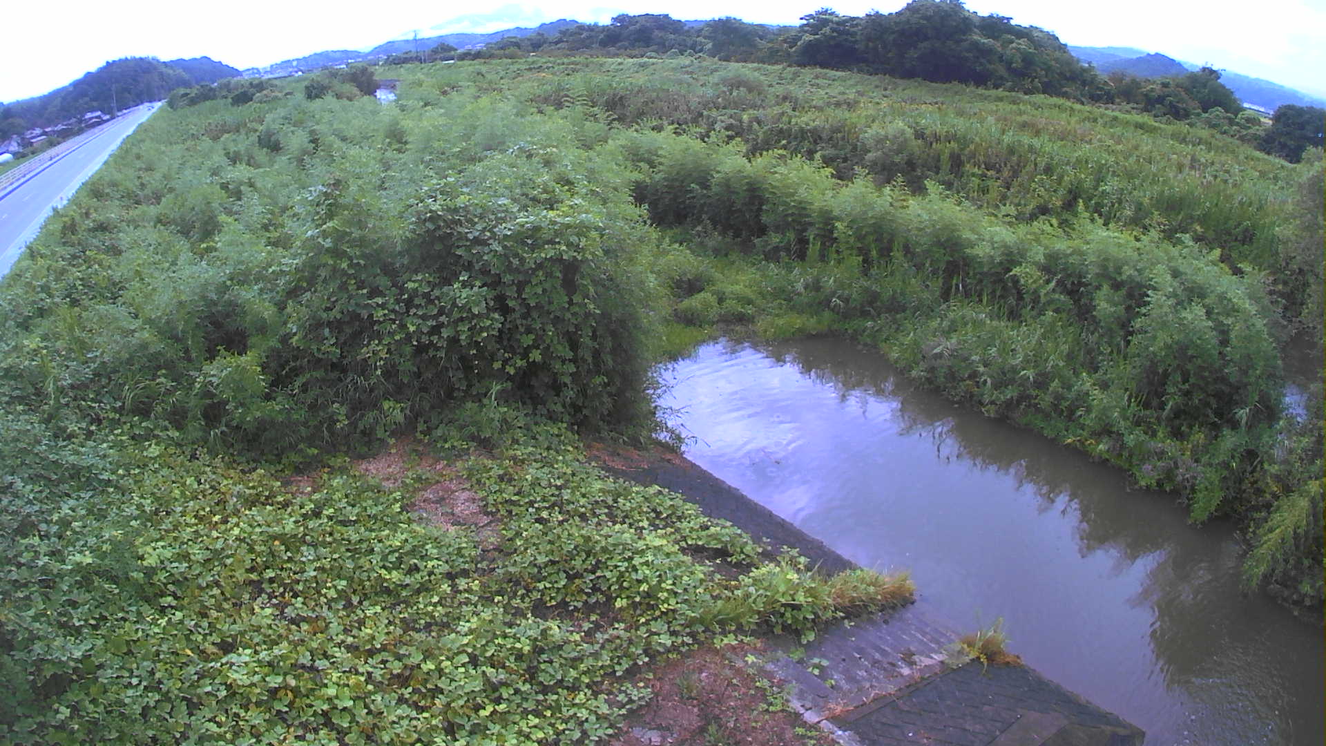 境　法勝寺川 4k800 左岸