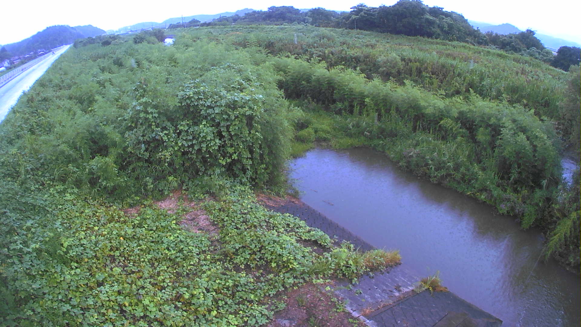 境　法勝寺川 4k800 左岸