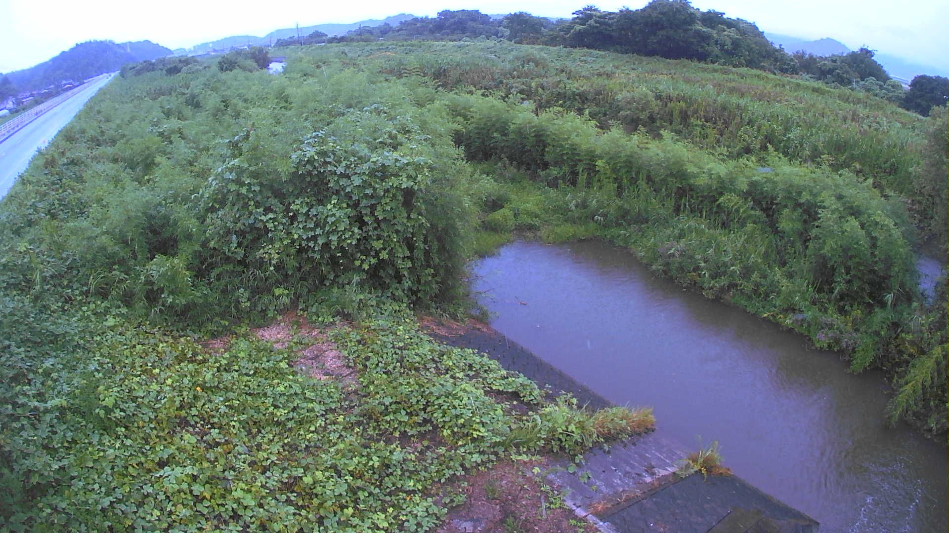 境　法勝寺川 4k800 左岸