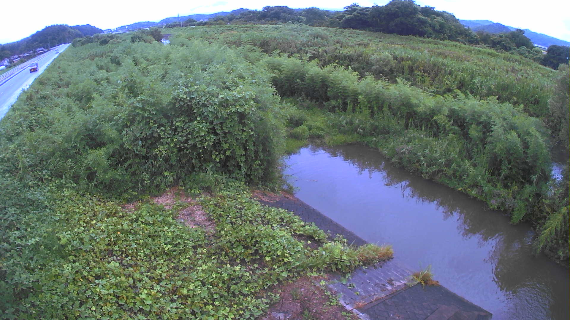 境　法勝寺川 4k800 左岸