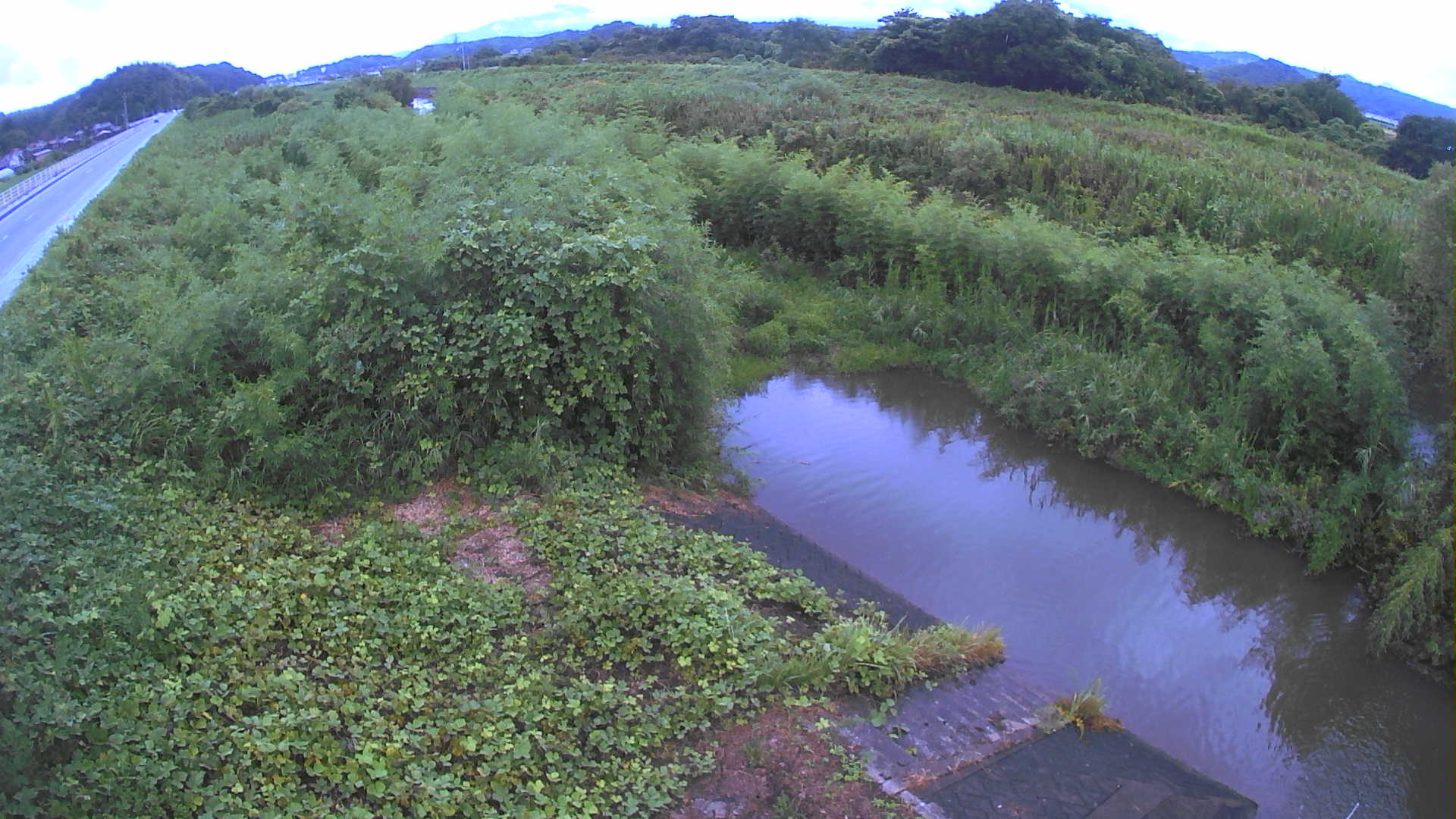 境　法勝寺川 4k800 左岸