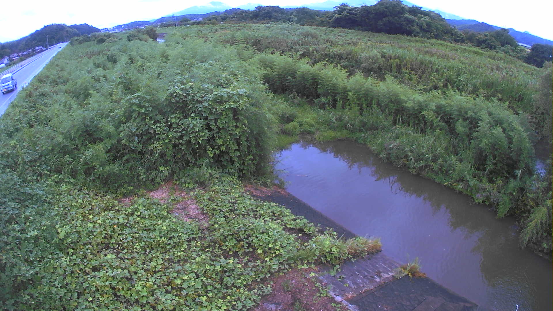 境　法勝寺川 4k800 左岸