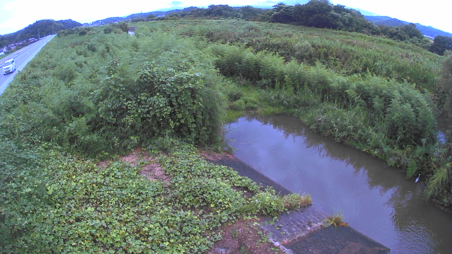 境　法勝寺川 4k800 左岸
