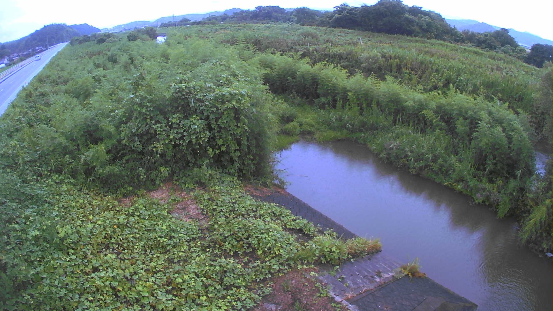 境　法勝寺川 4k800 左岸