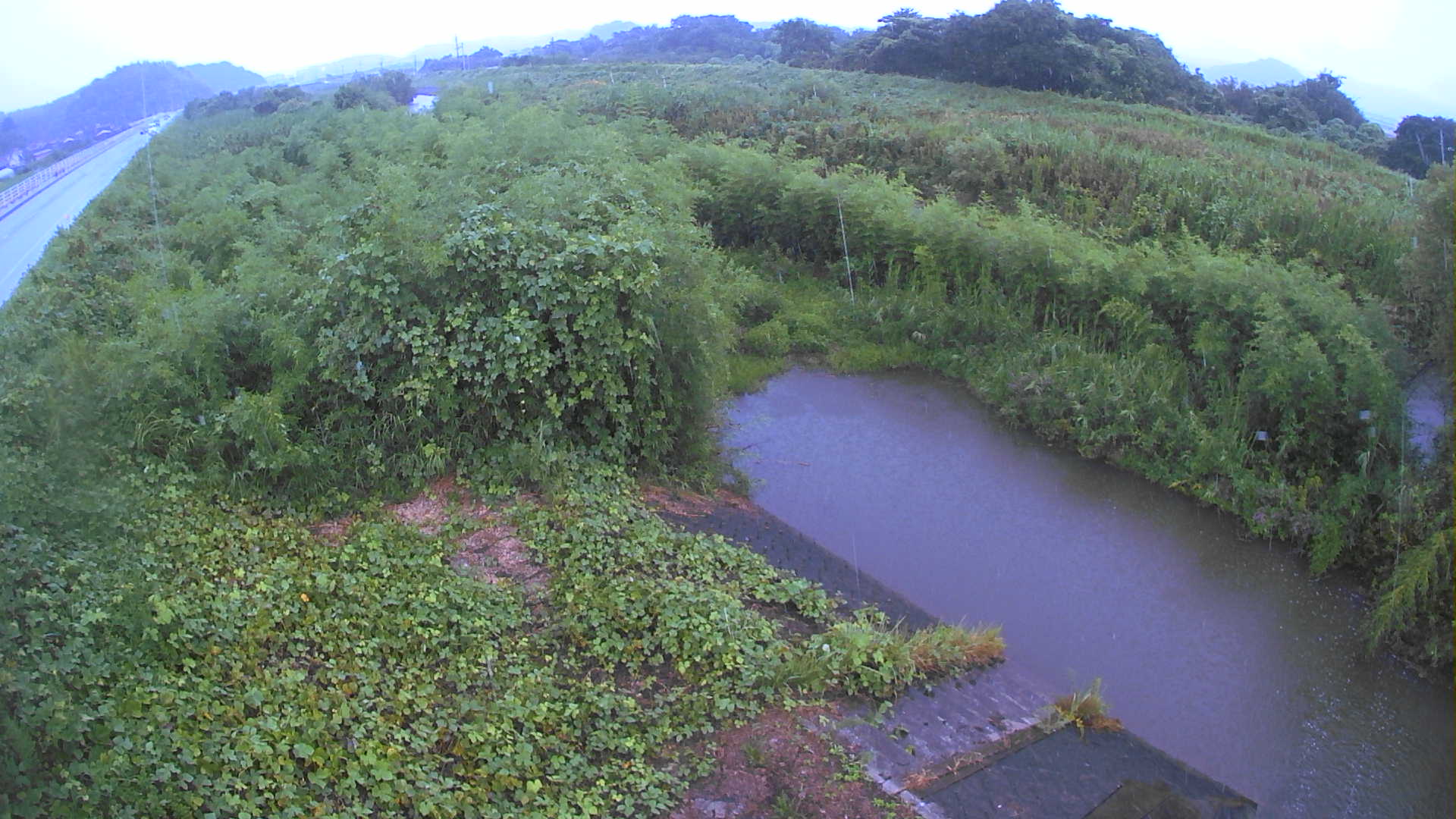 境　法勝寺川 4k800 左岸