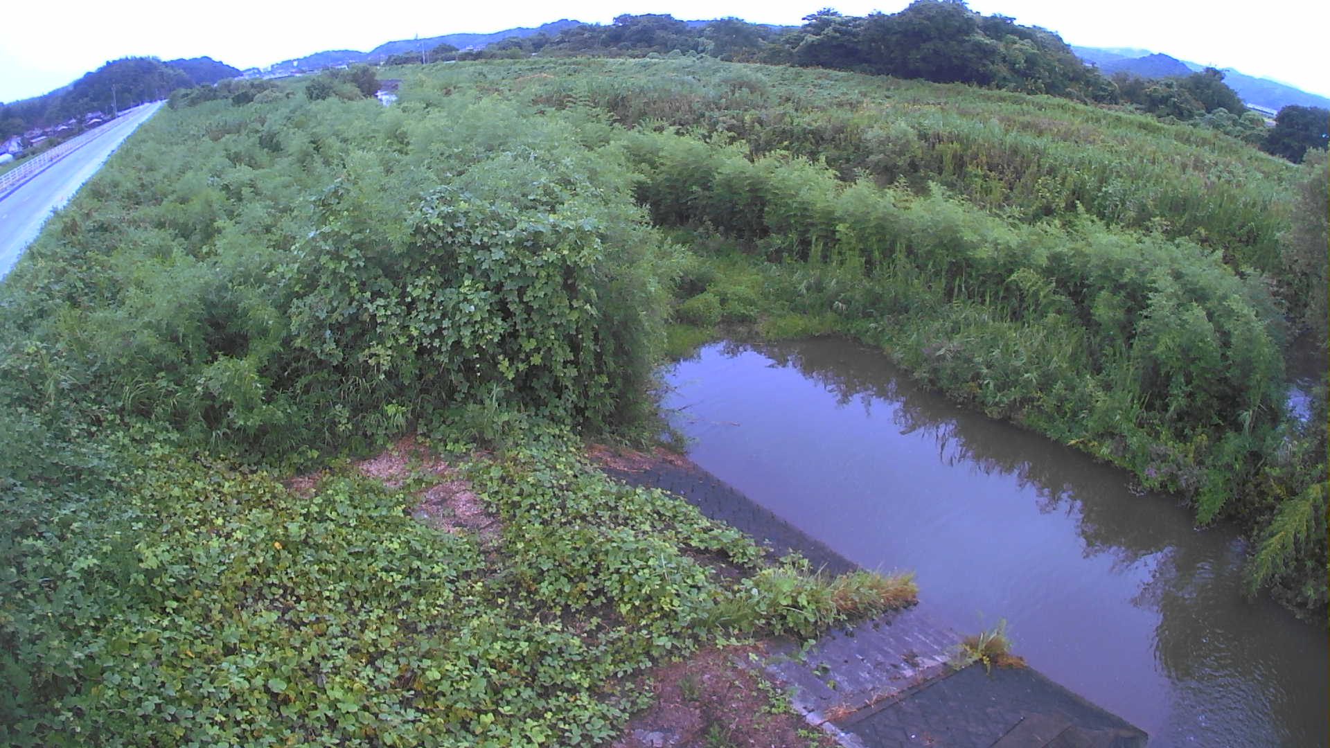 境　法勝寺川 4k800 左岸
