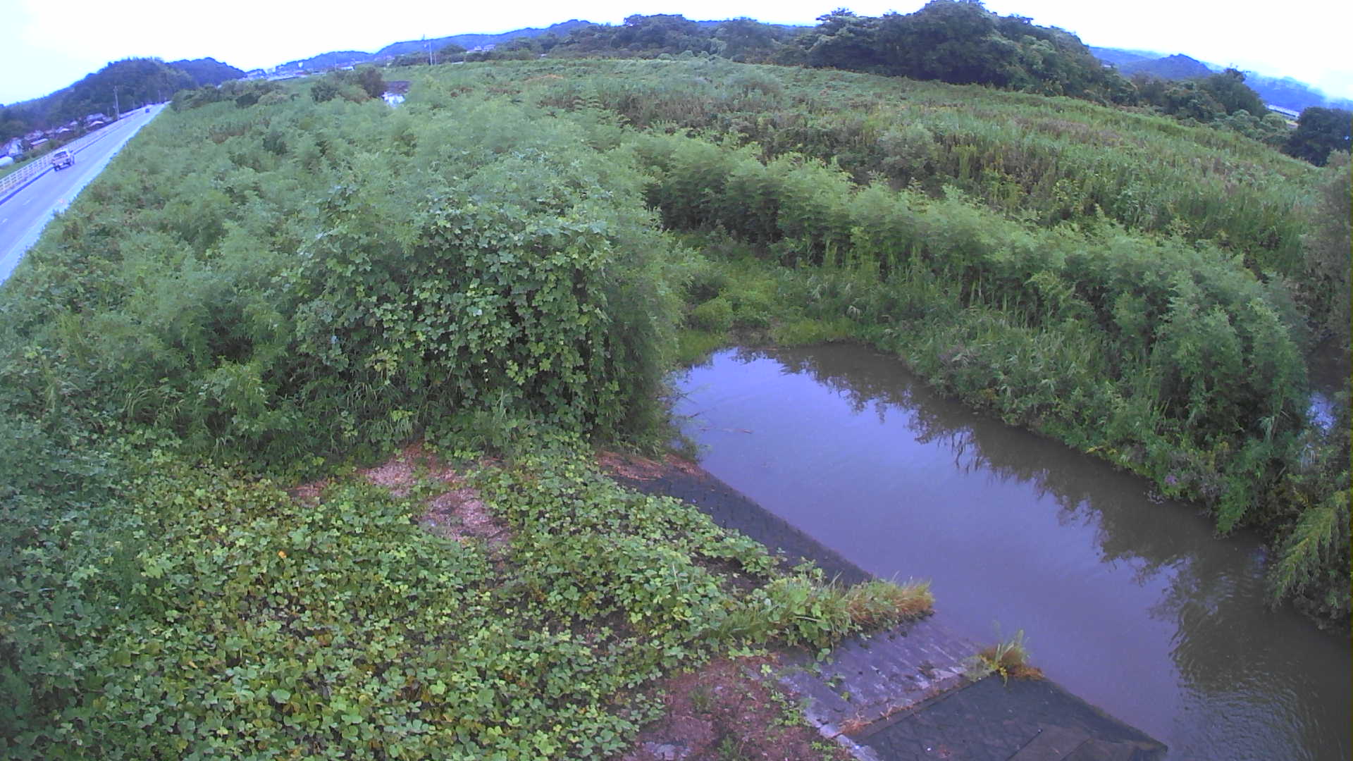 境　法勝寺川 4k800 左岸