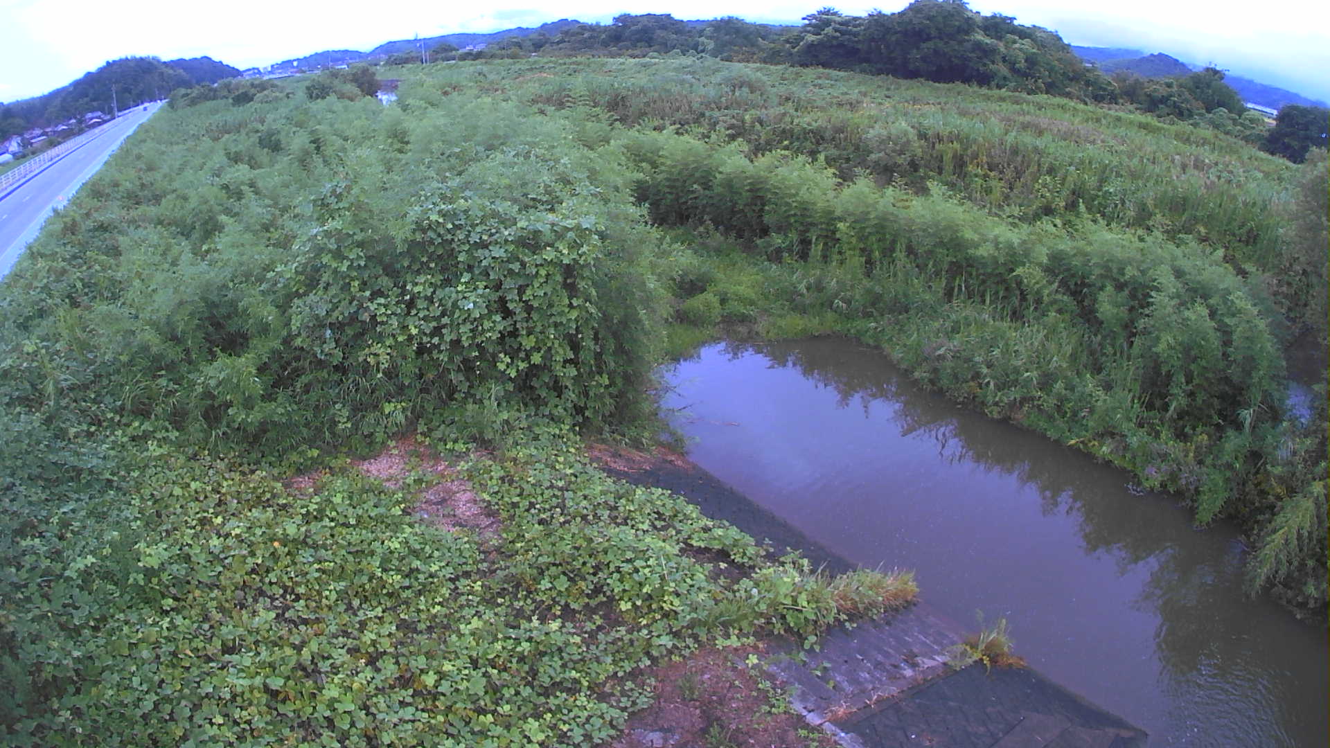 境　法勝寺川 4k800 左岸