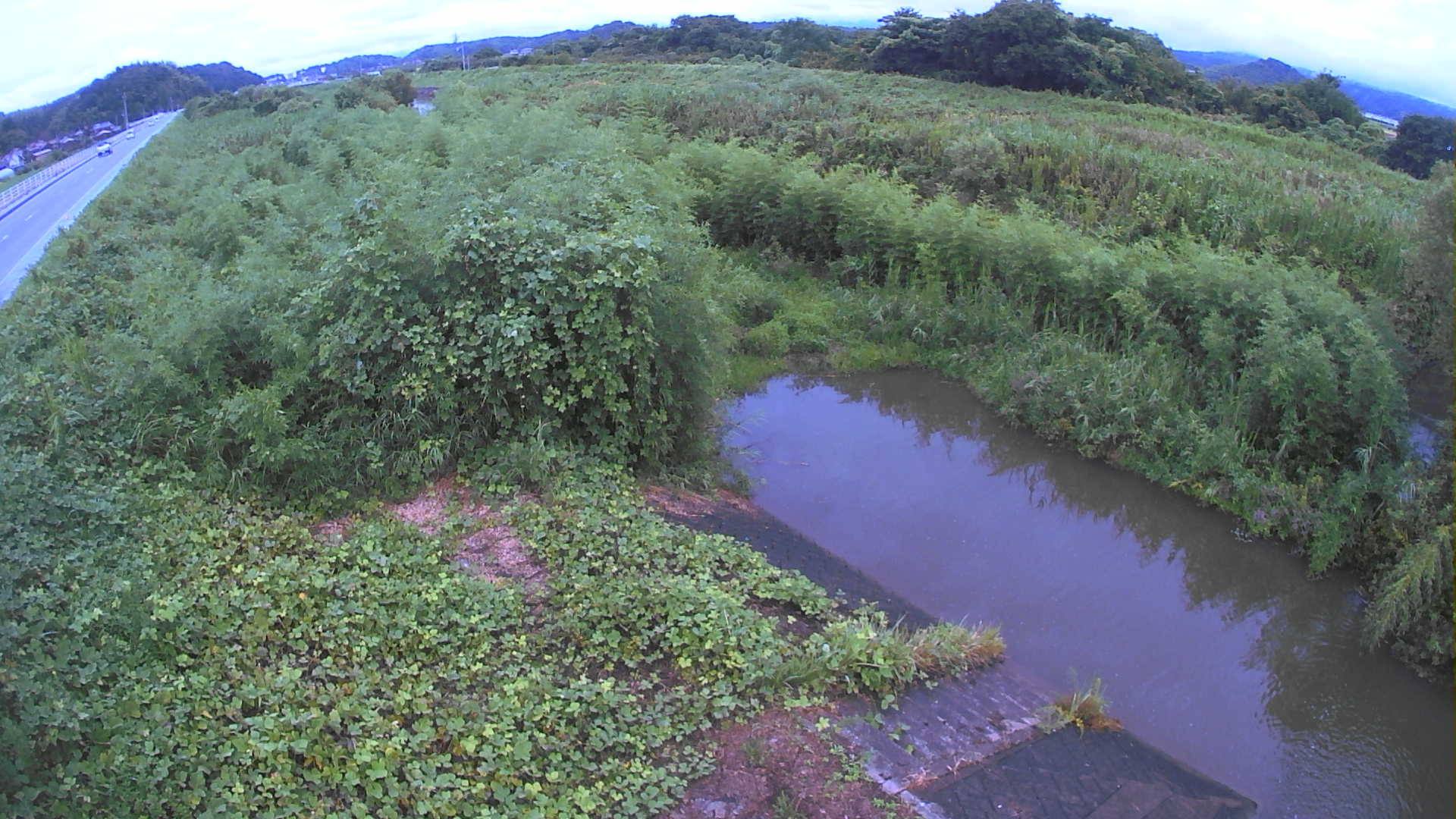 境　法勝寺川 4k800 左岸