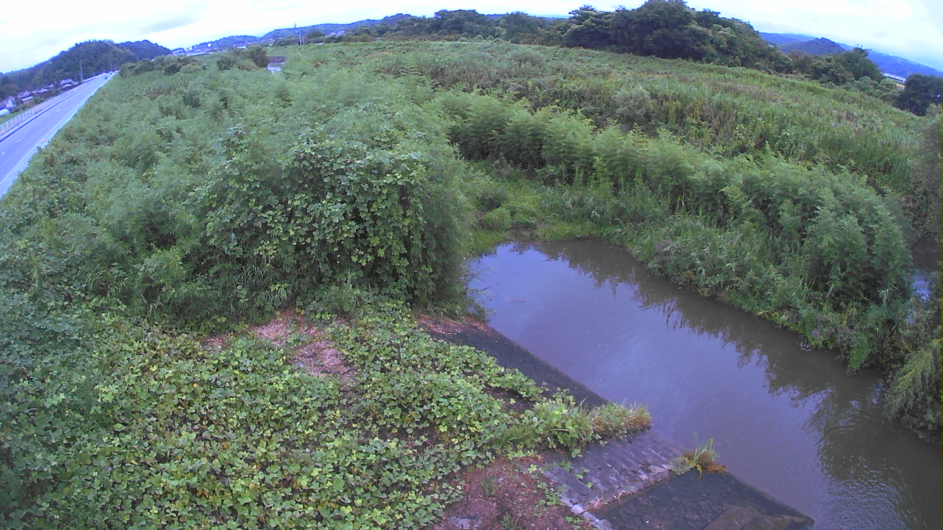境　法勝寺川 4k800 左岸