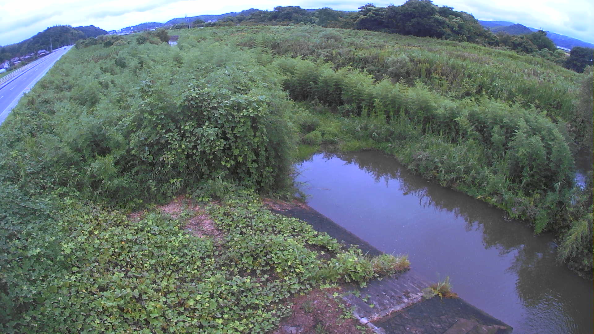 境　法勝寺川 4k800 左岸