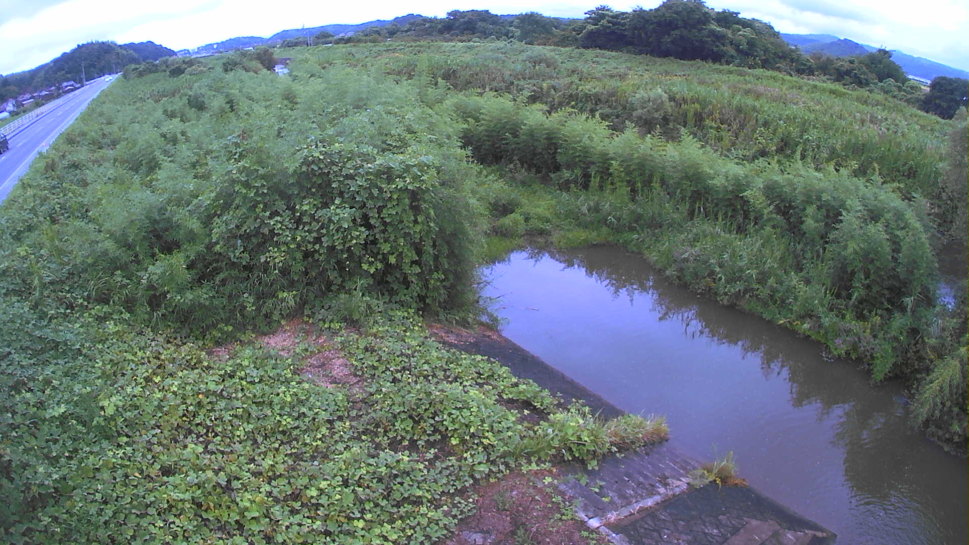 境　法勝寺川 4k800 左岸