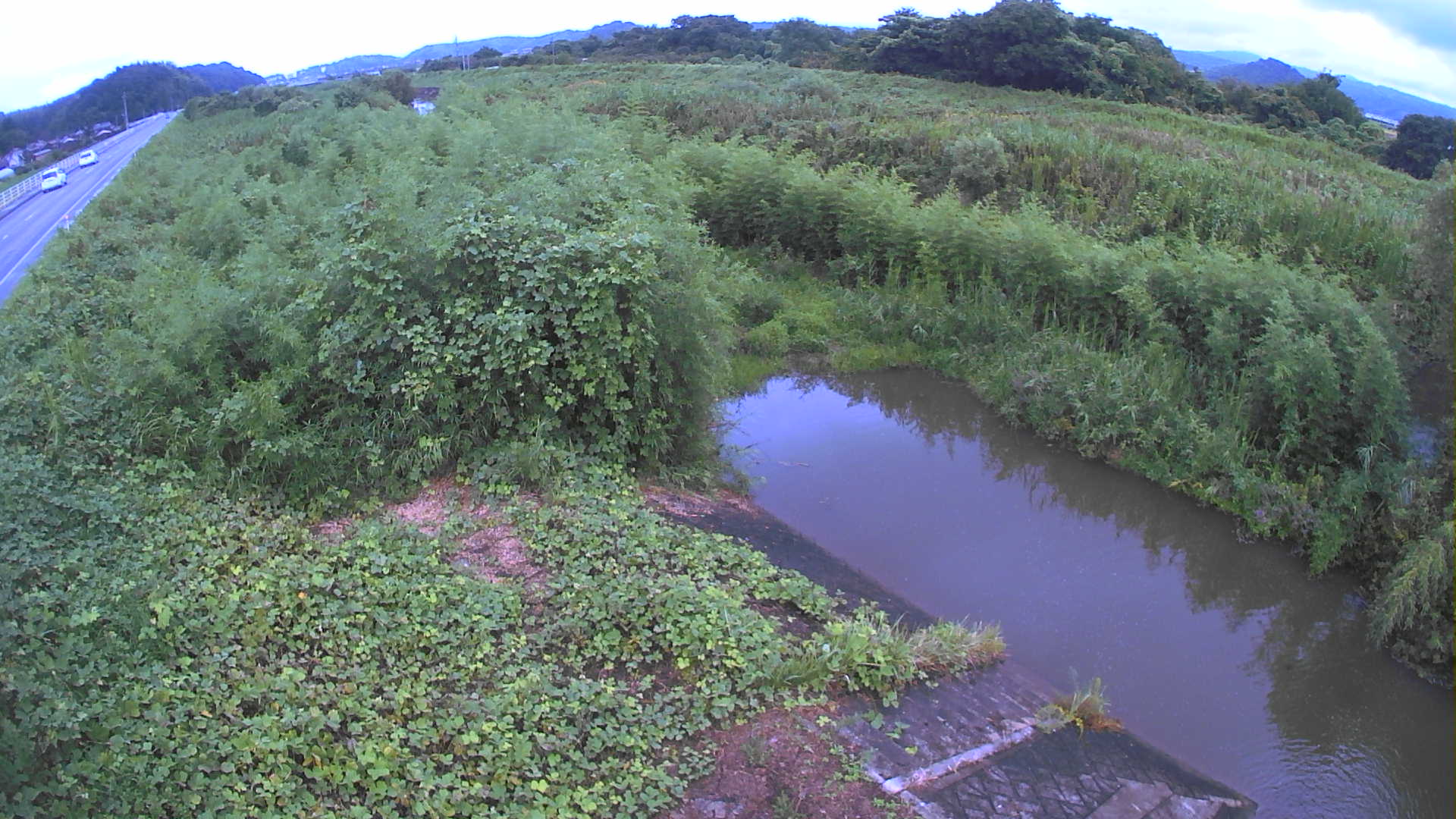 境　法勝寺川 4k800 左岸