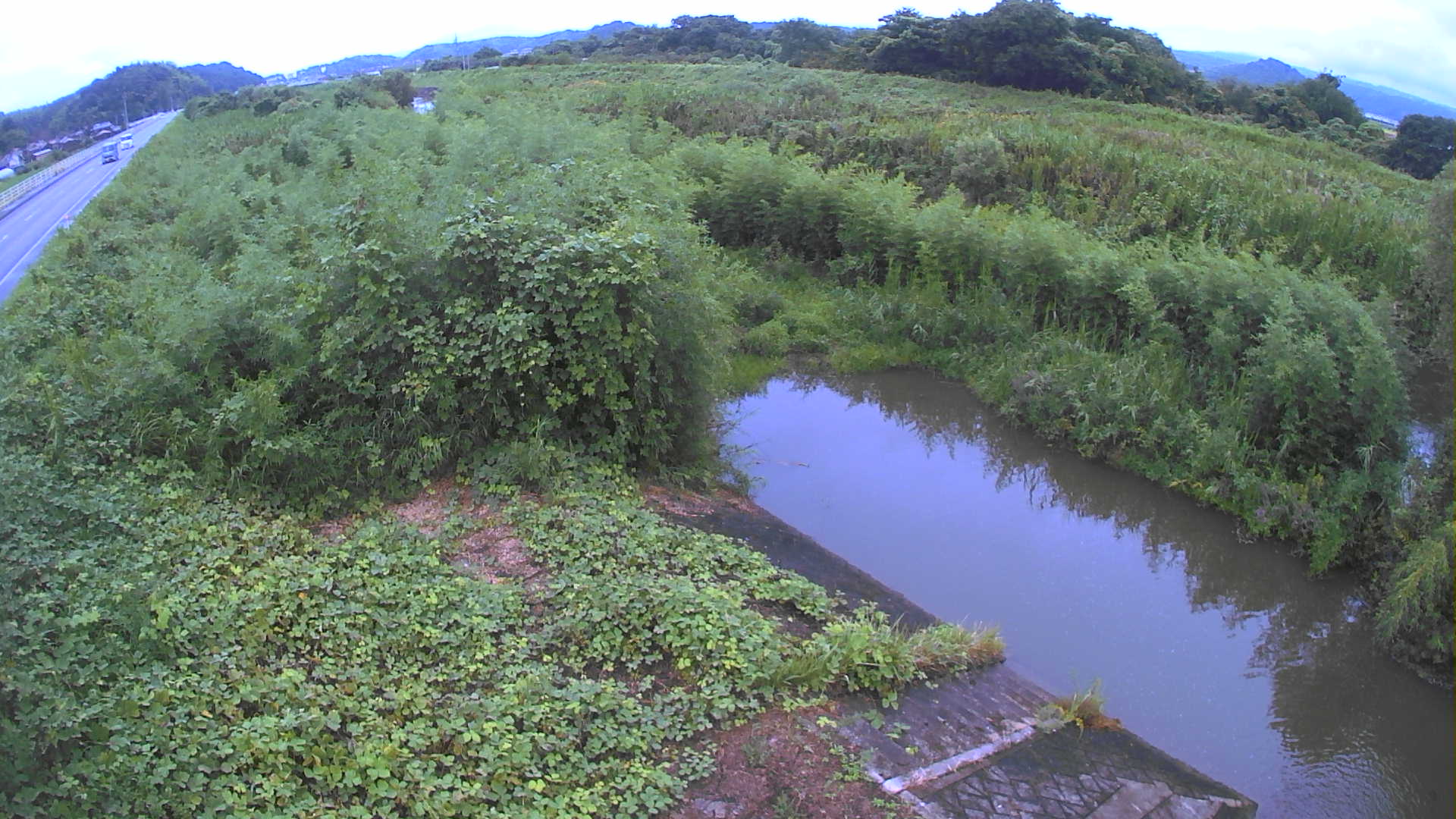 境　法勝寺川 4k800 左岸