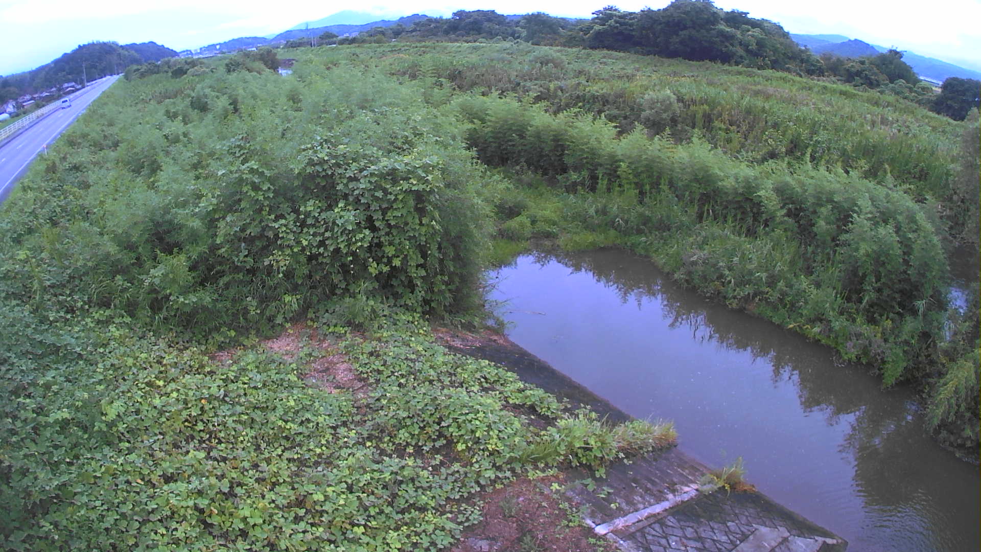 境　法勝寺川 4k800 左岸