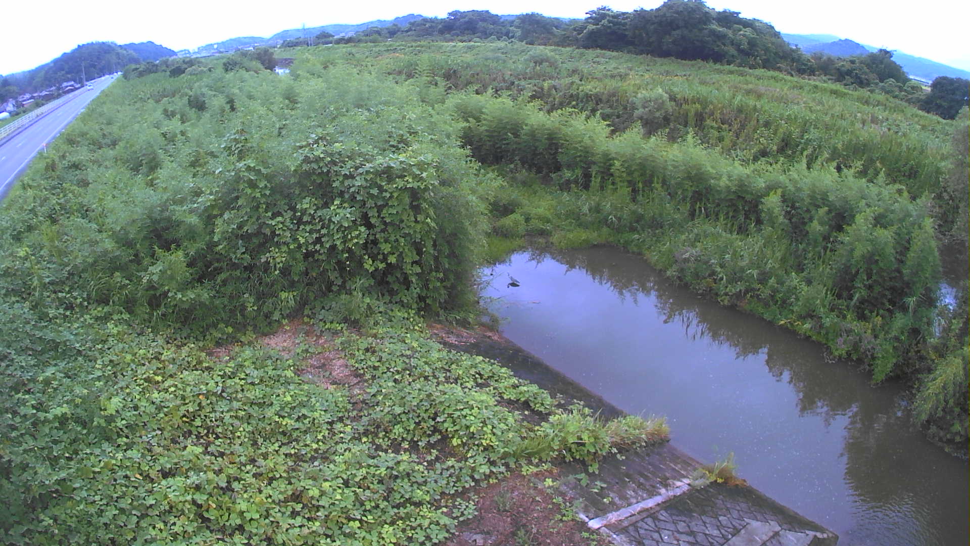 境　法勝寺川 4k800 左岸