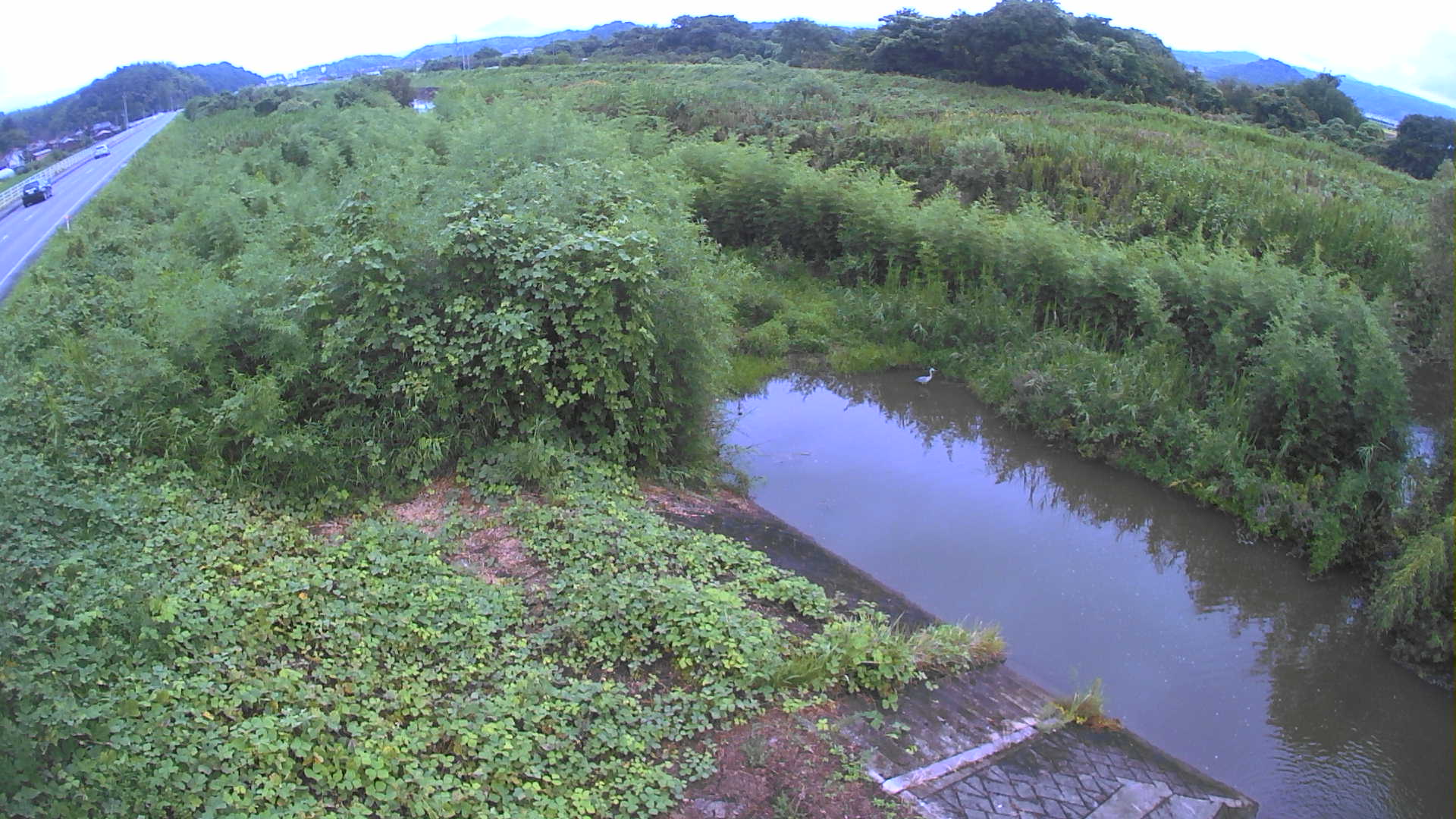 境　法勝寺川 4k800 左岸