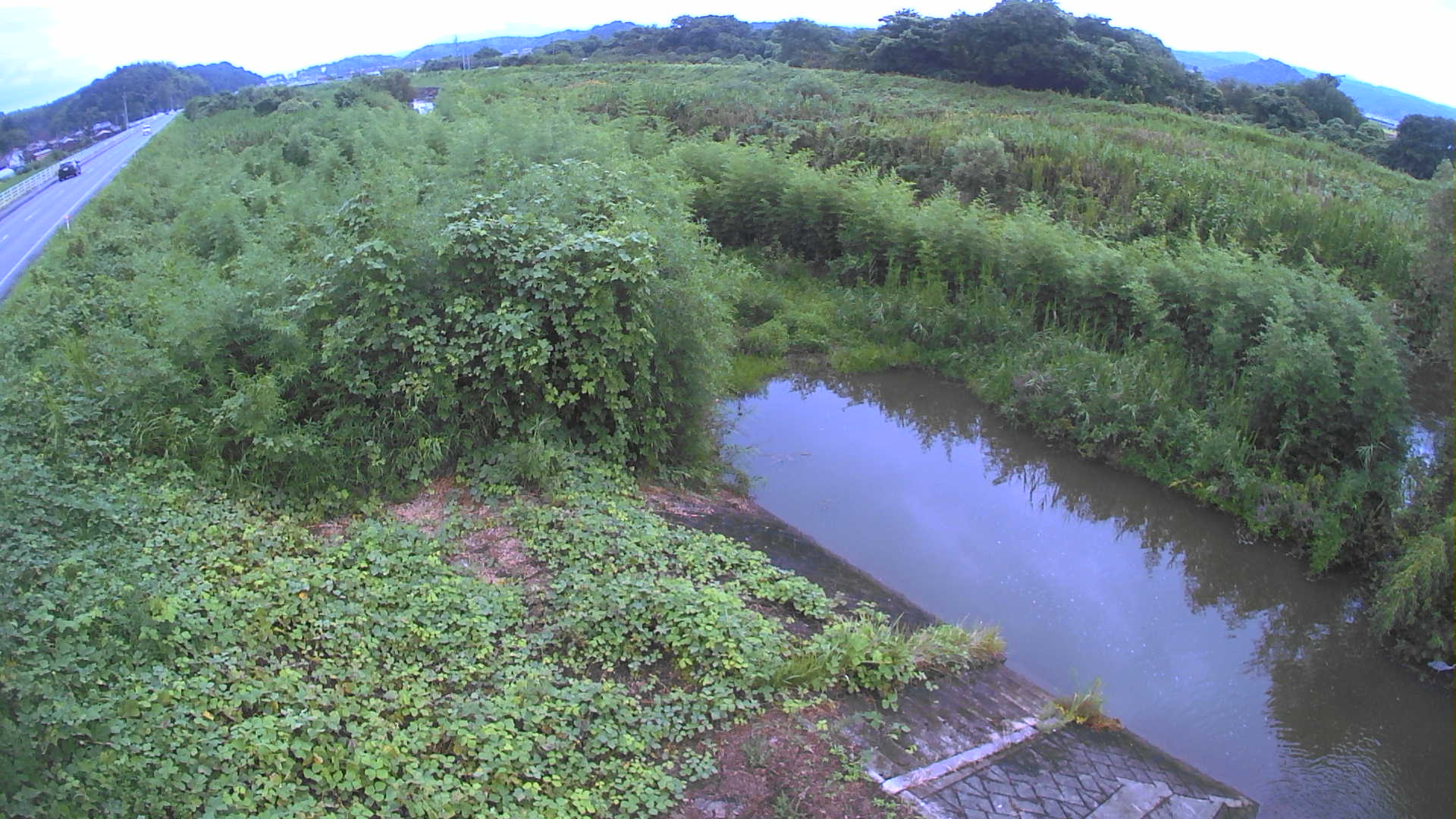 境　法勝寺川 4k800 左岸