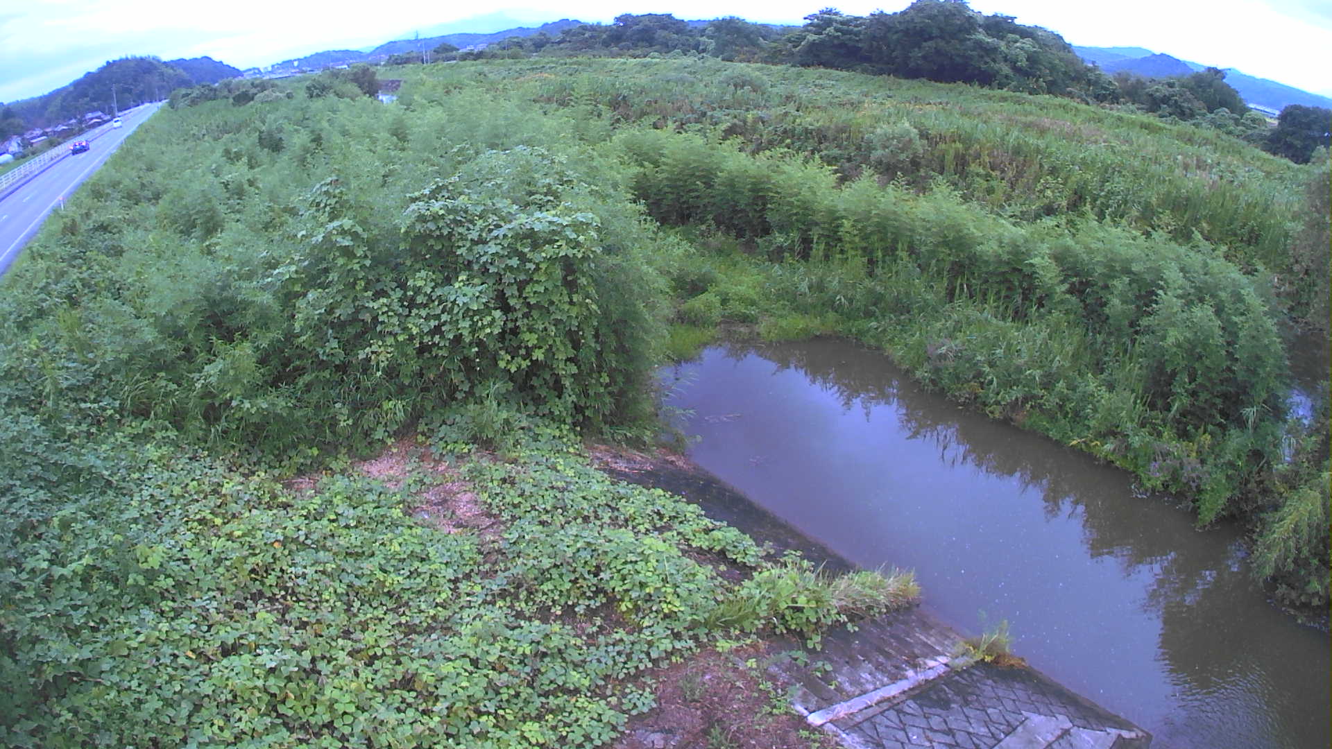 境　法勝寺川 4k800 左岸
