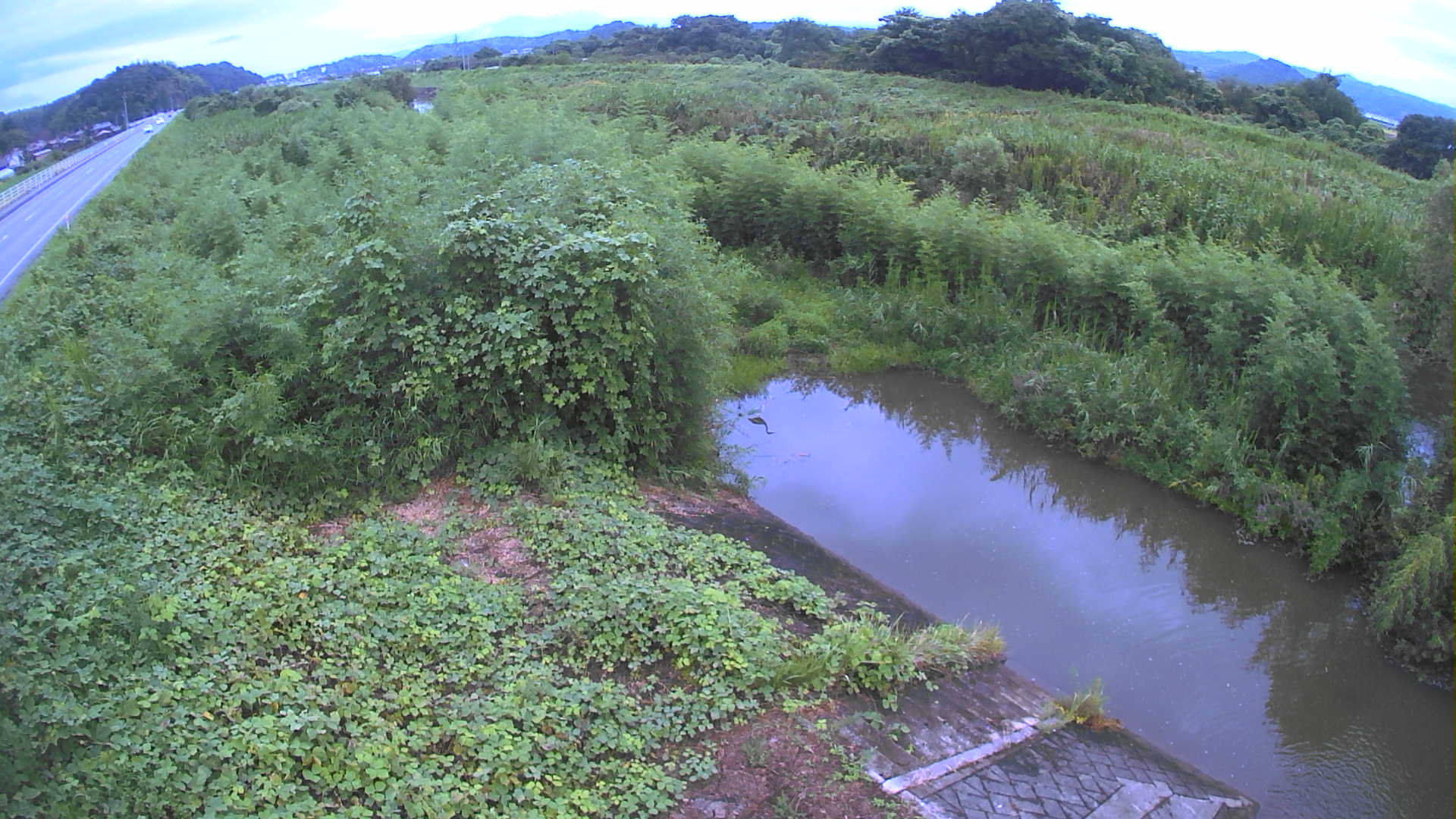 境　法勝寺川 4k800 左岸