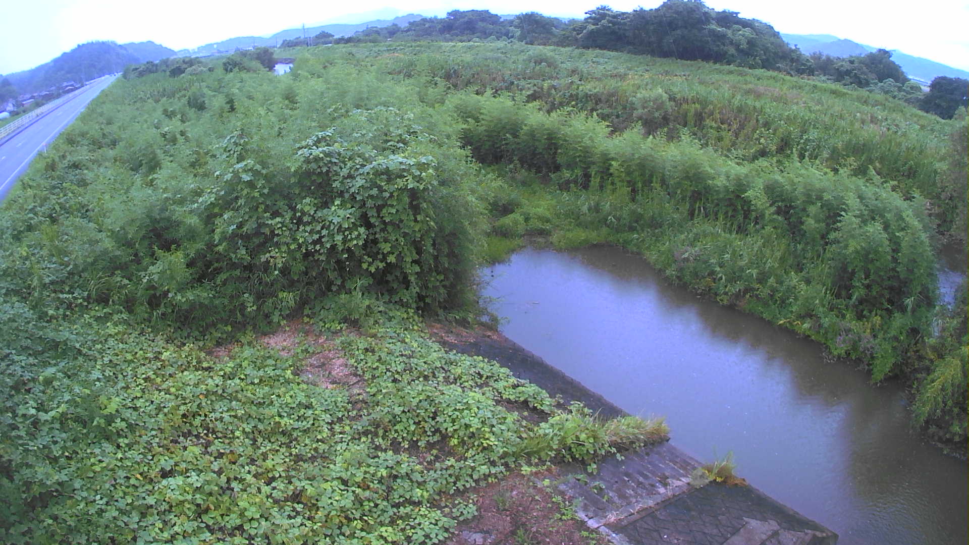 境　法勝寺川 4k800 左岸